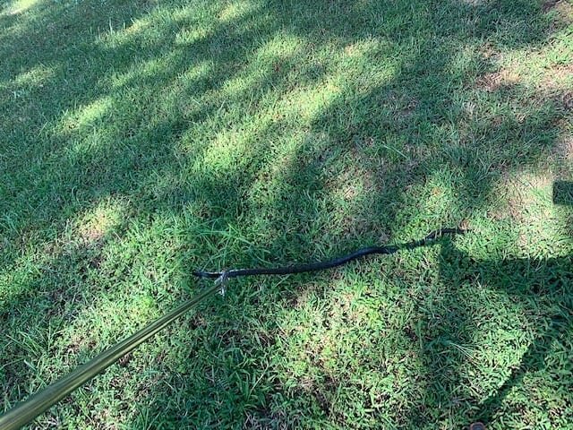 Catching black snakes! 

Remember black snakes are  harmless to people. They mate twice a year, April to June and September through October. To deter black snakes from your property, remove old logs, clear debris from you foundation, and (as always) 