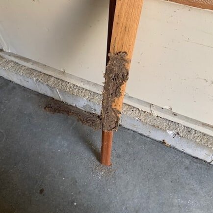 Subterranean termite damage to wood debris and dead termites on ground.&nbsp;

#termites #damage #homeowners #exterminateandeducate #calvertexterminators #exterminator #exterminators #exterminatorsofinstagram #pestcontrol #pestcontrolservice #locally