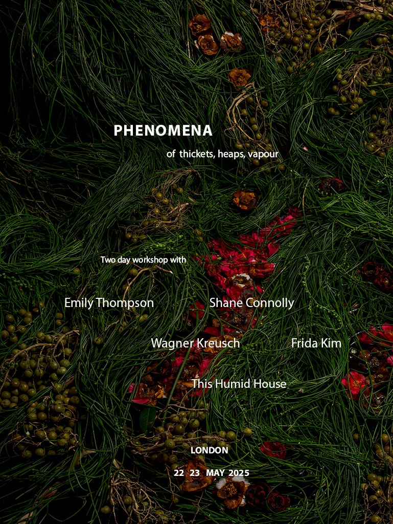 Phenomena_poster_final.jpg1.jpg