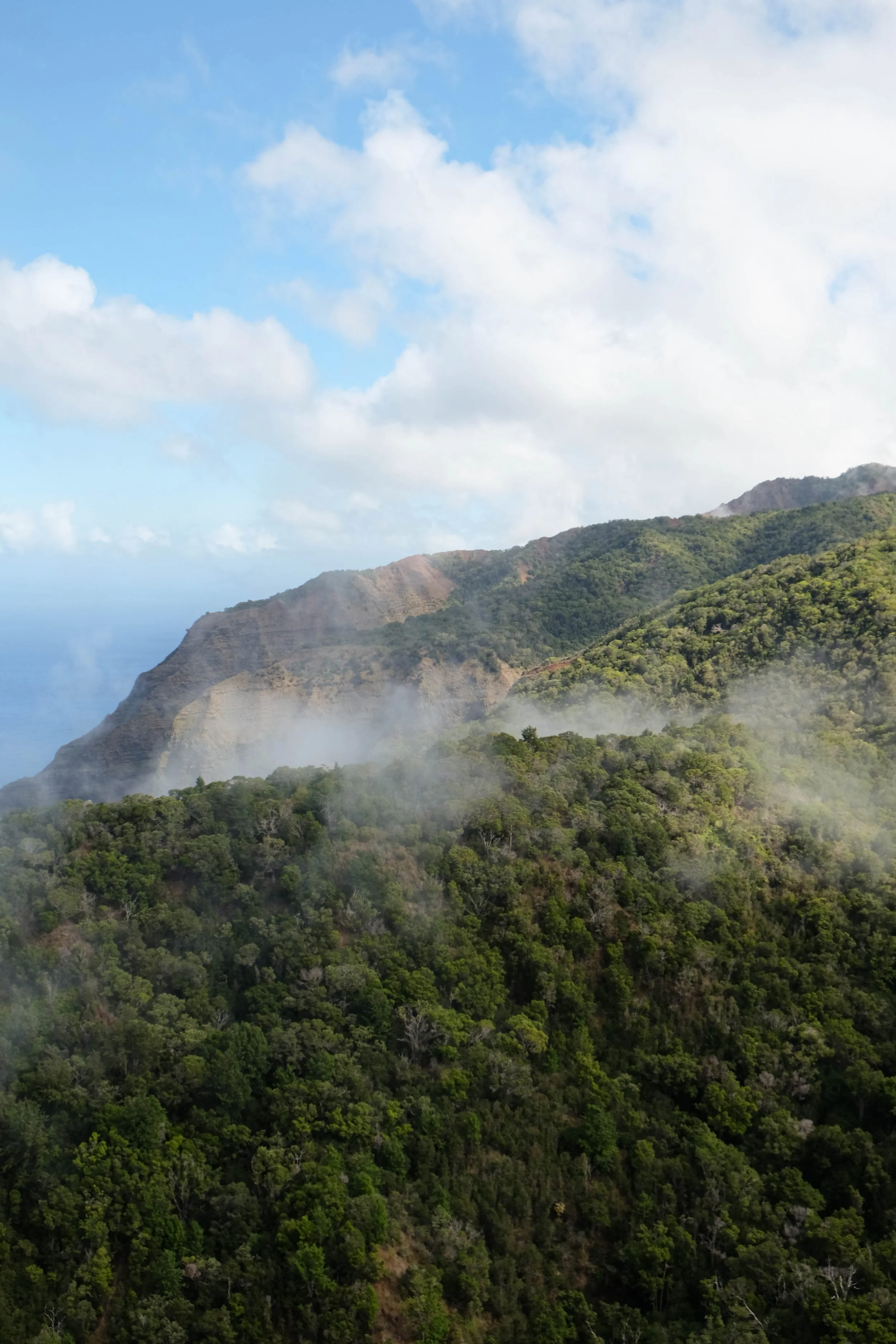 DSCF4483.jpg