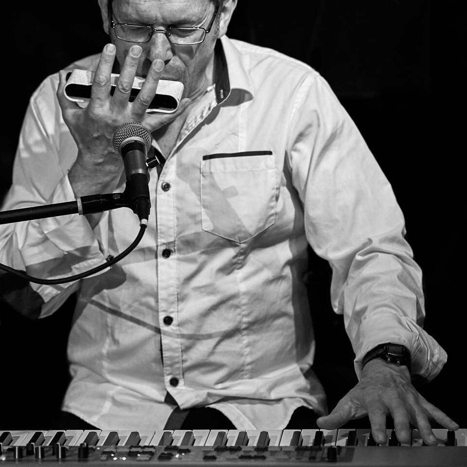 80_harmonica_DEV09558_v2.jpeg