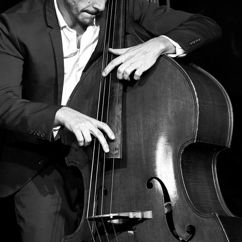 80_double bass_DEV05814.jpeg