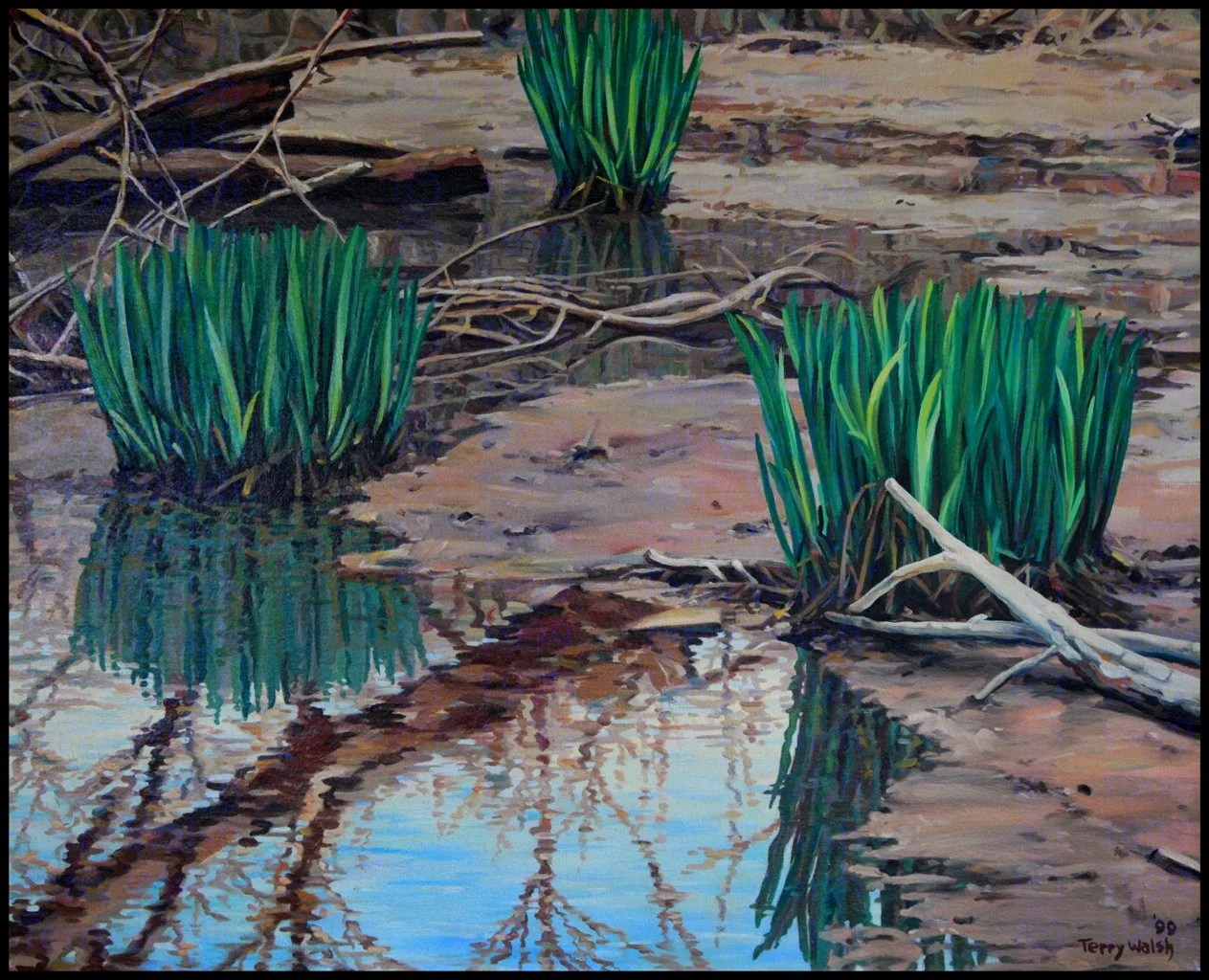Mud Flat oil on canvas 27 x 36, 1999
Synchronicity Gallery, Glen Arbor, MI