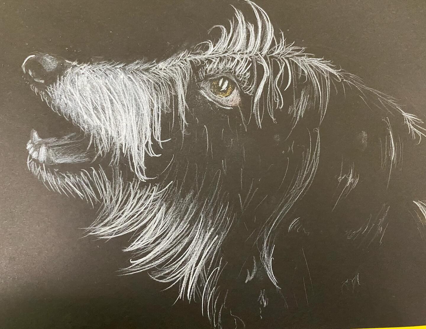 We really have rounded our half term on a massive high!!! Just look at these incredible dogs created by our Monday and Wednesday after school artists using soft pastels. These children are aged between 5 and 12 years old!!! I&rsquo;m so impressed wit