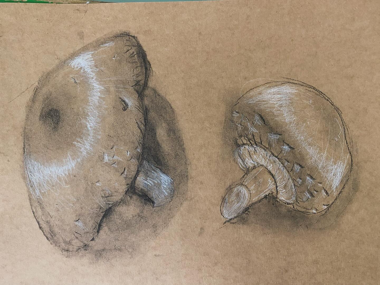 Wow!! What an amazing start to our new project. Fabulous fungi created by our amazing Monday and Wednesday after school artists. #observationaldrawing #charcoaldrawing #mushrooms #afterschool #afterschoolart