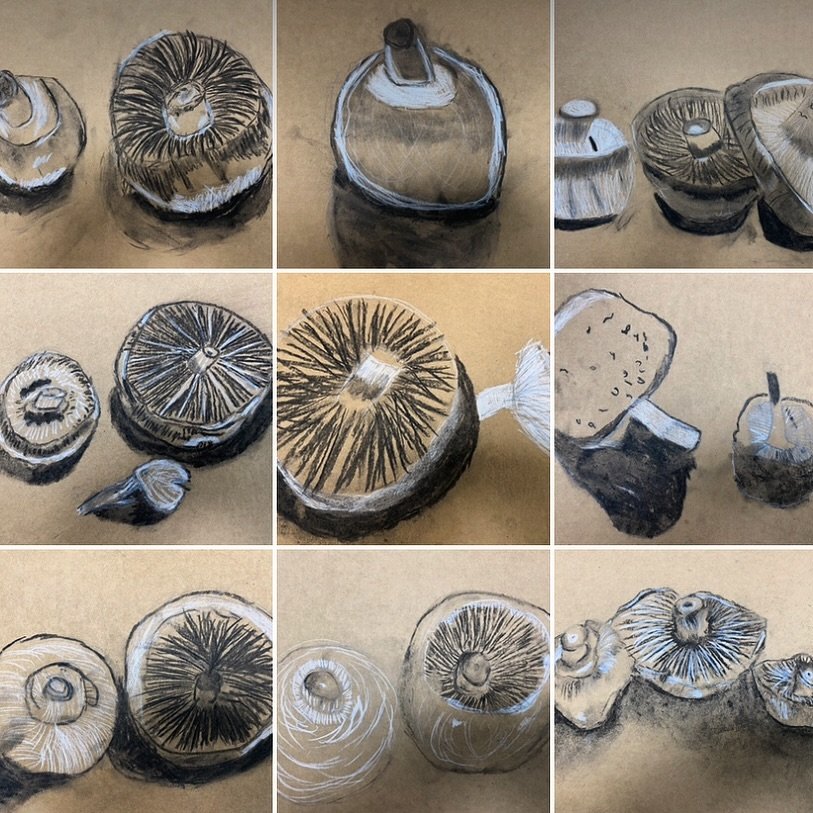 More wonderful mushroom studies, this time by our Thursday after school artists. I love how different the compositions are. Amazing observational drawing xx.
#observationaldrawing #mushrooms #fungi #charcoal #peckhamart