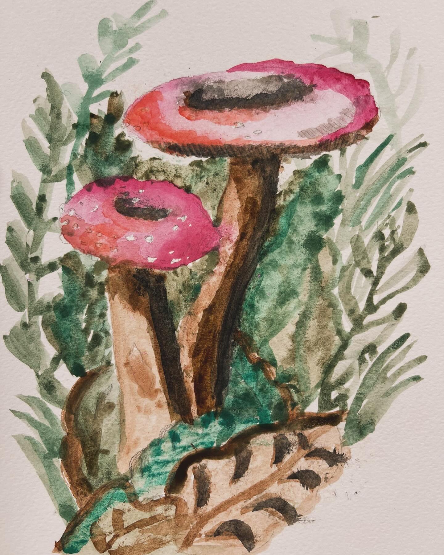 Wow!!!! Incredible fungi painting inspired by the wonderful work of Beatrix Potter @beatrixpottersociety Look at the delicate details and sensitivity in these artworks! Soo impressive xxx Congratulations everyone xx.  #beatrixpotter #watercolours #ar