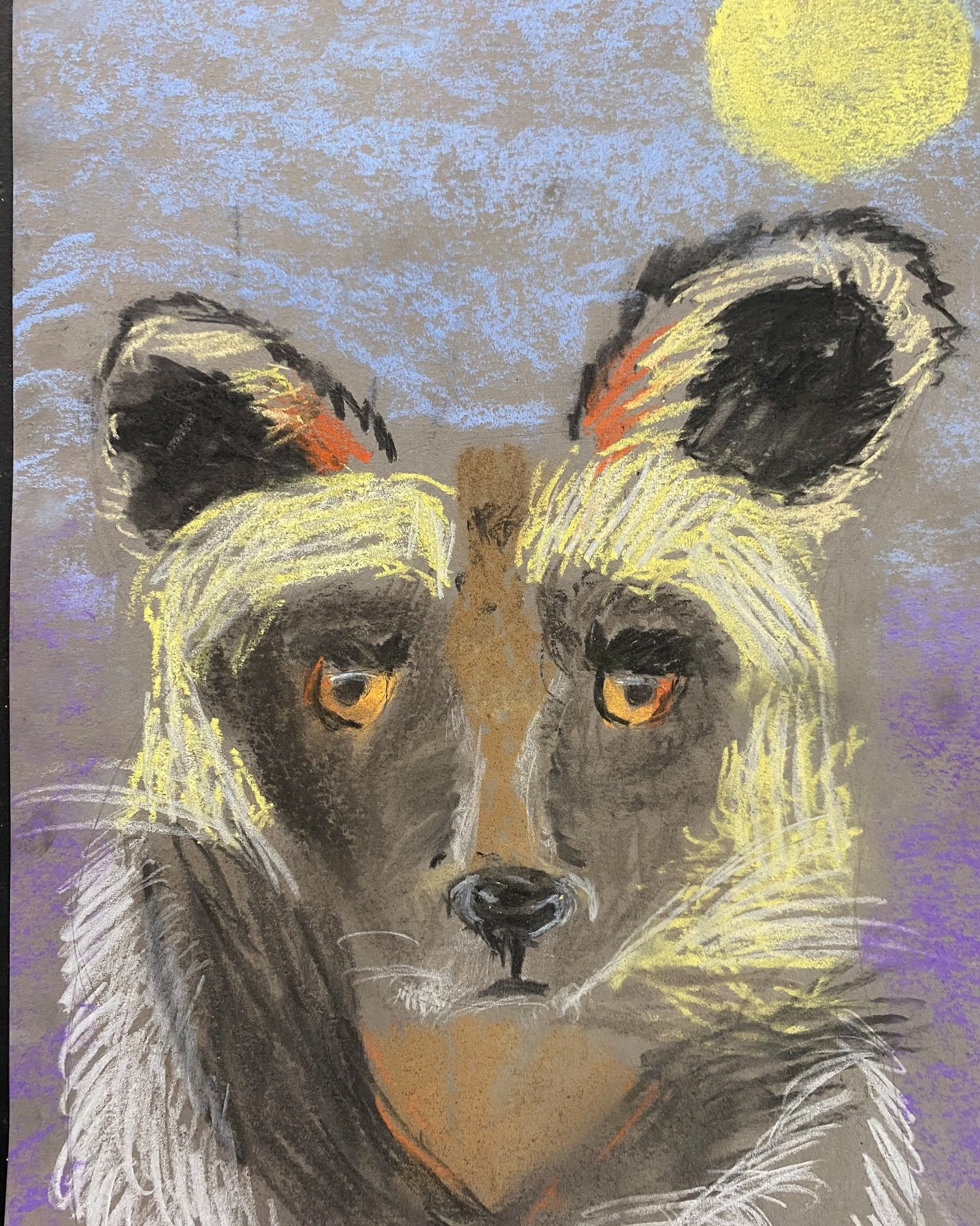 Incredible soft pastel animal portraits by this week&rsquo;s Monday and Wednesday artists. Absolutely stunned by their mastery of this medium. Congratulations everyone xxxx