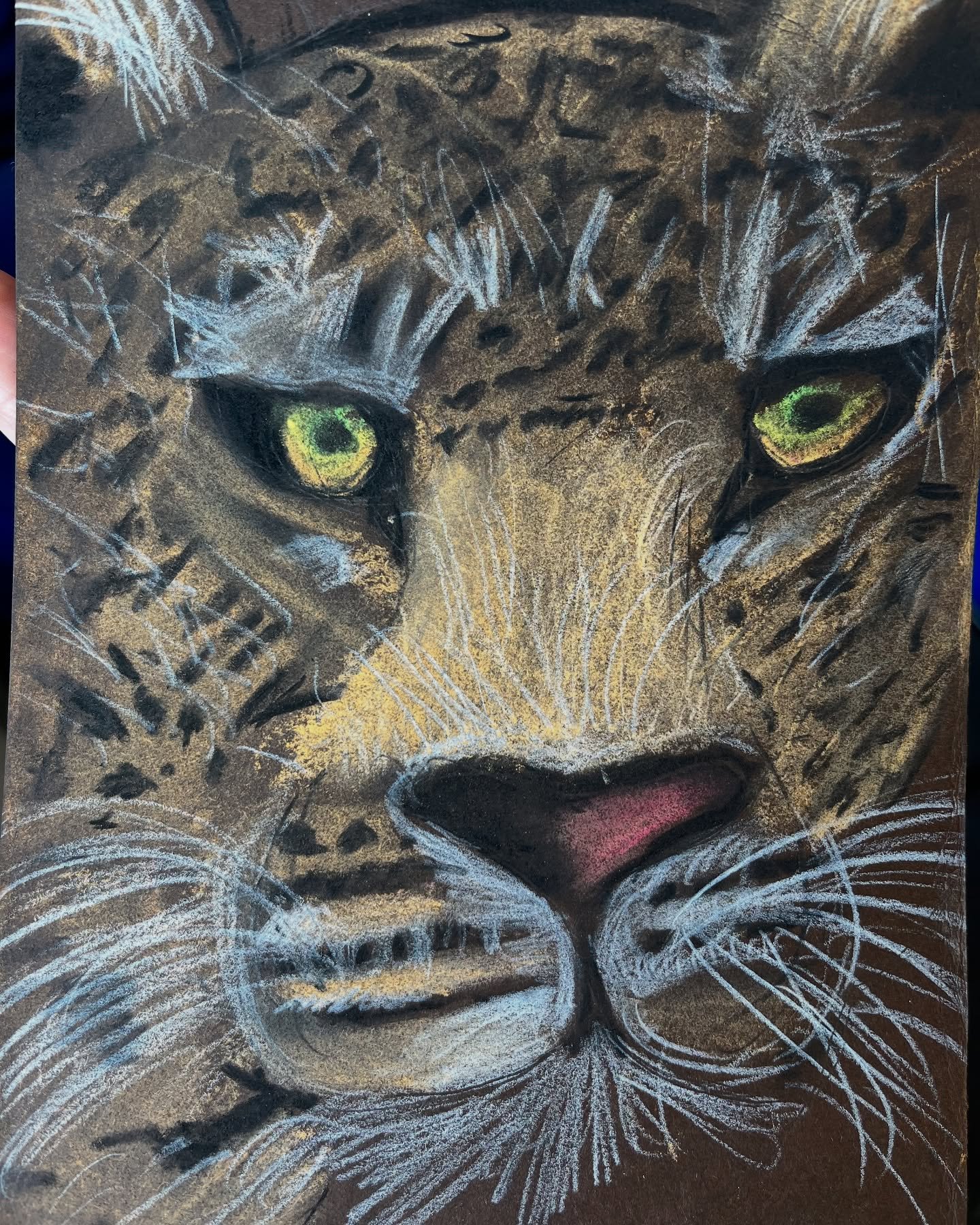 More incredible soft pastel, cont&eacute; crayon and charcoal drawings of animals by our Saturday second class. Congratulations everyone, beautiful work xxx