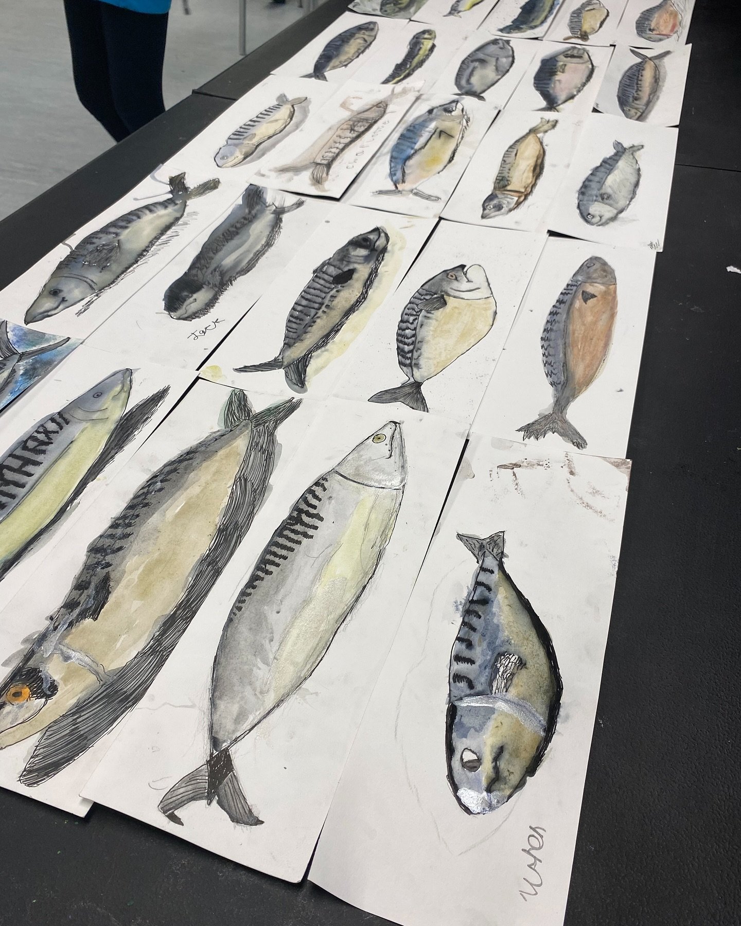 Look at these beauties! Oh we have had a wonderful time drawing our mackerel. We used fine liners, pencils, watercolour washes and silver inks. Amazing!!!