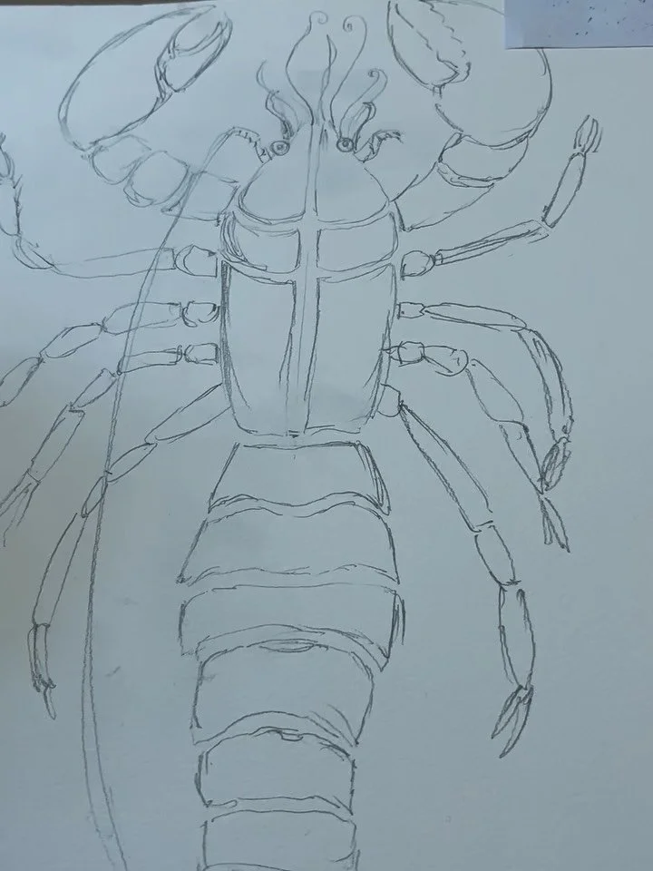 Doing some preparations and experiments for next weeks lobster sessions. Apologies for the terrible videos but you get the idea! Cannot wait to introduce our young artists to this salt technique, I know they are going to love it! X