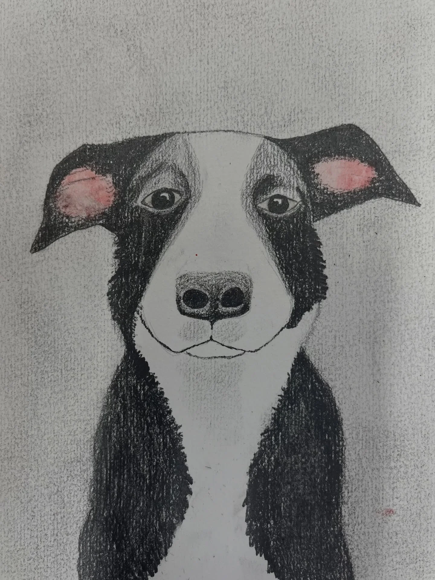 Absolutely stunning dog portraits inspired by the wonderful artist Kay McDonagh @kaymcdonagh51 . I love these all sooo much. Each has its own special personality.