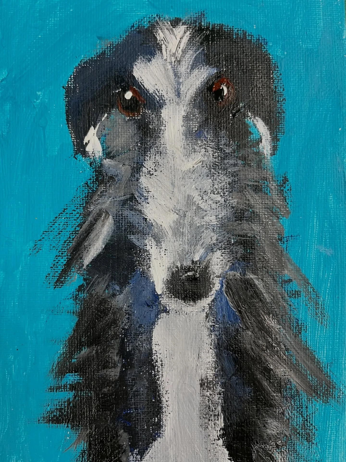Absolutely gorgeous dogs painted in this week&rsquo;s after school sessions. So much personality, so much love has been poured in each brushstroke. Stunning 🤩 xxx