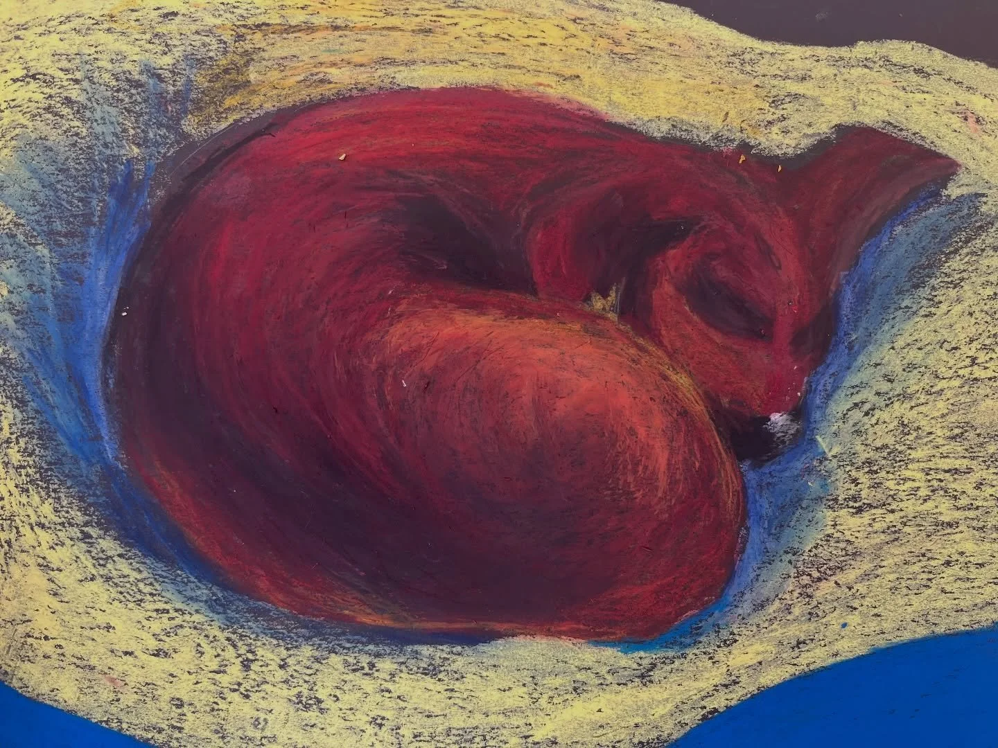 Just look at these gorgeous plump little dachshund drawings inspired by David Hockney&rsquo;s paintings and drawings of his beloved Stanley and Boodgie.