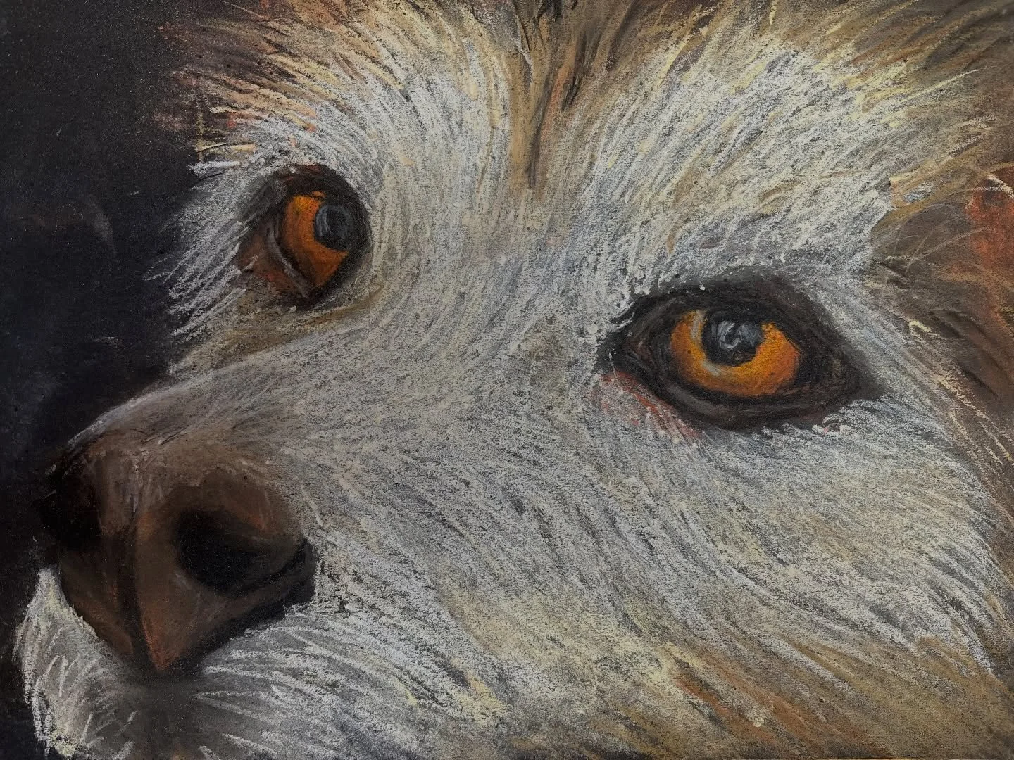 I honestly cannot believe the talent of these young artists!!! Incredible soft pastel and conte crayon drawings of dogs! Wow! Wow! Wow!!