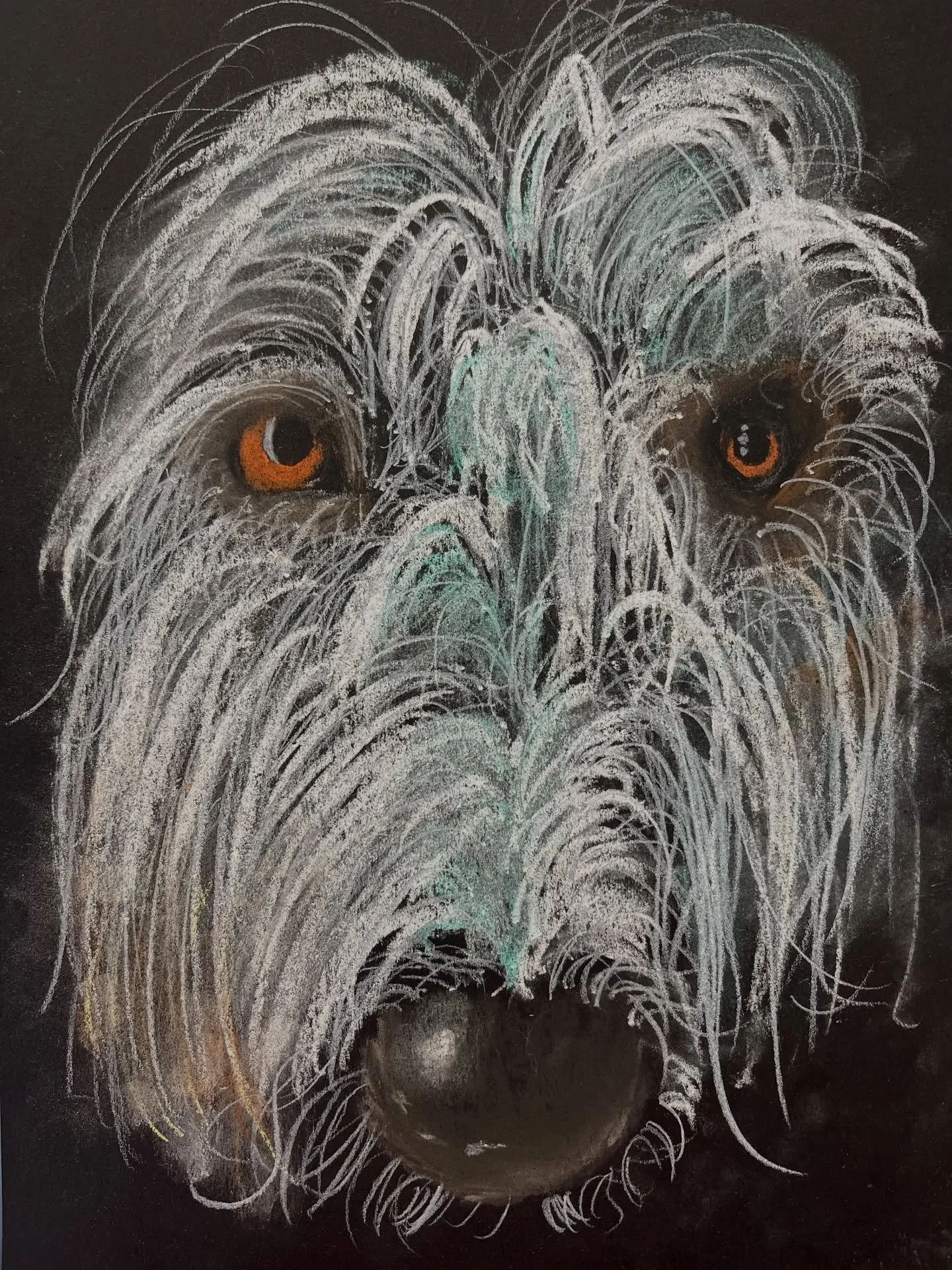 And a few more amazing dog drawings!! Xx