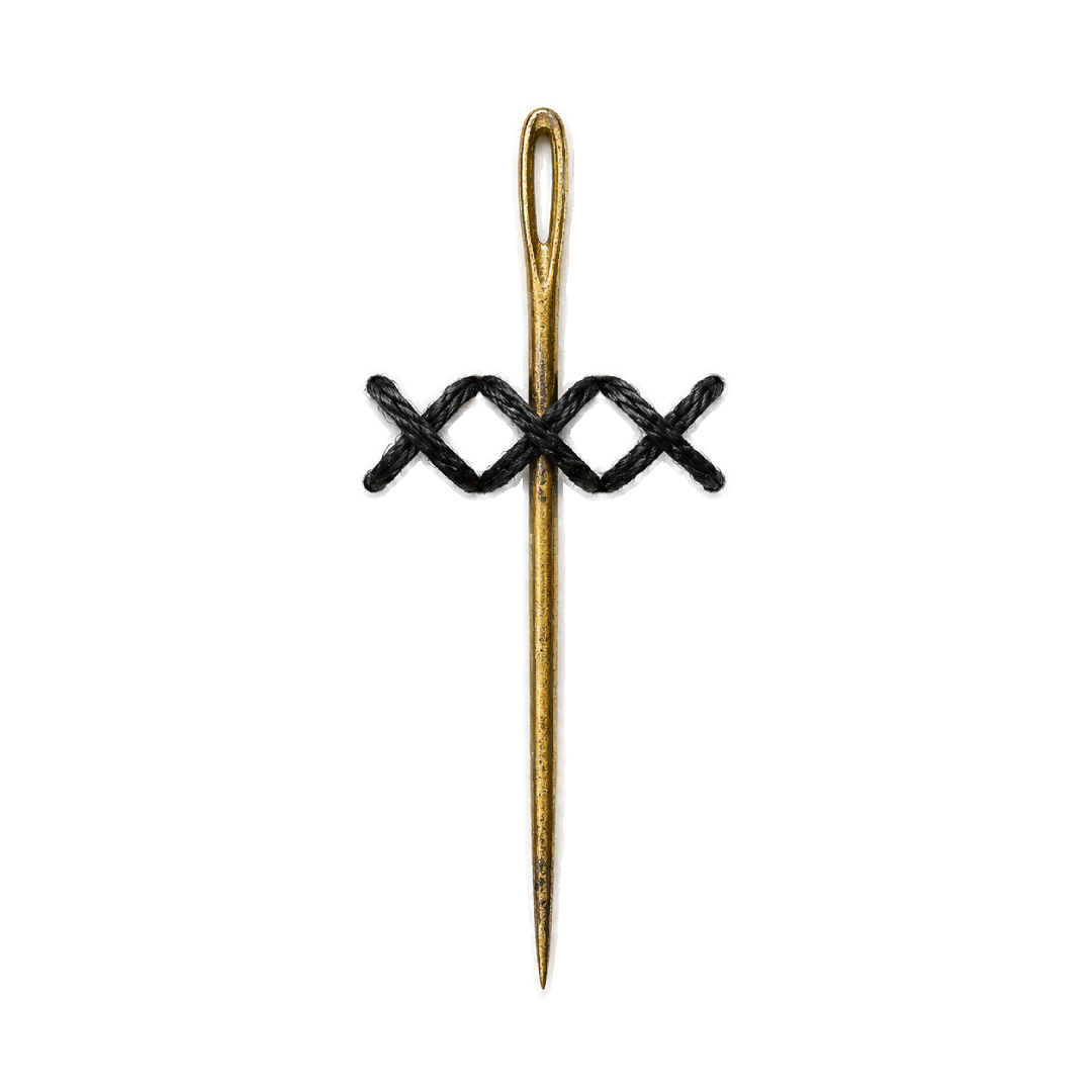 aguja foto png.png