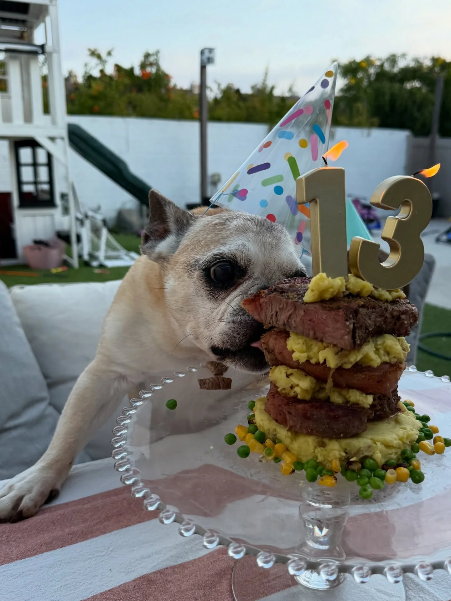 13! 🎈Happiest birthday to my first born! I can&rsquo;t believe you&rsquo;re a teenager! You may be slowing down, but you&rsquo;ll always be my bb dog. We love you beyond, Oliver James! ❤️&zwj;🔥