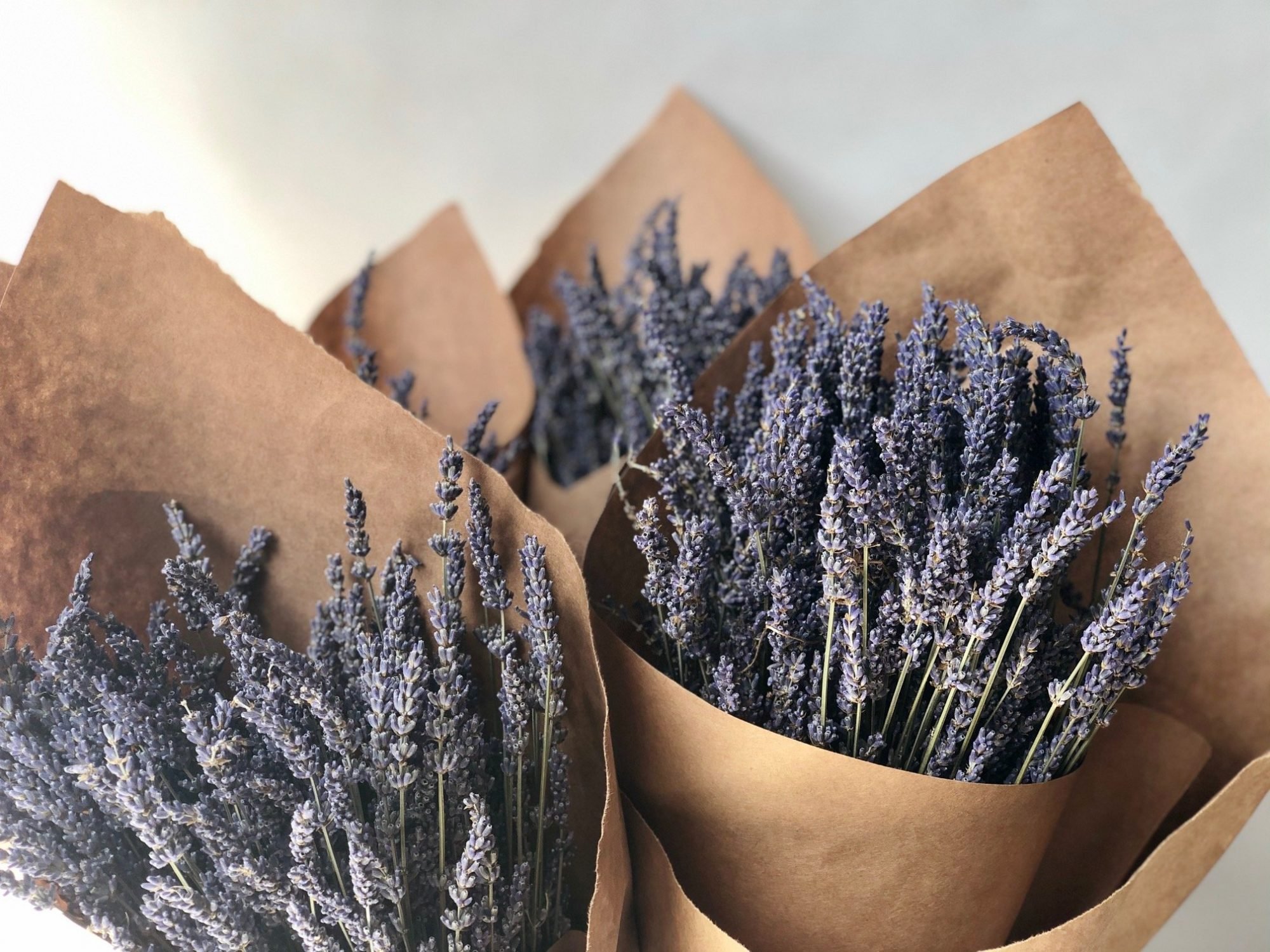 Dried Lavender Bunch — Sungrove Blossoms - Rochester, NY Florist