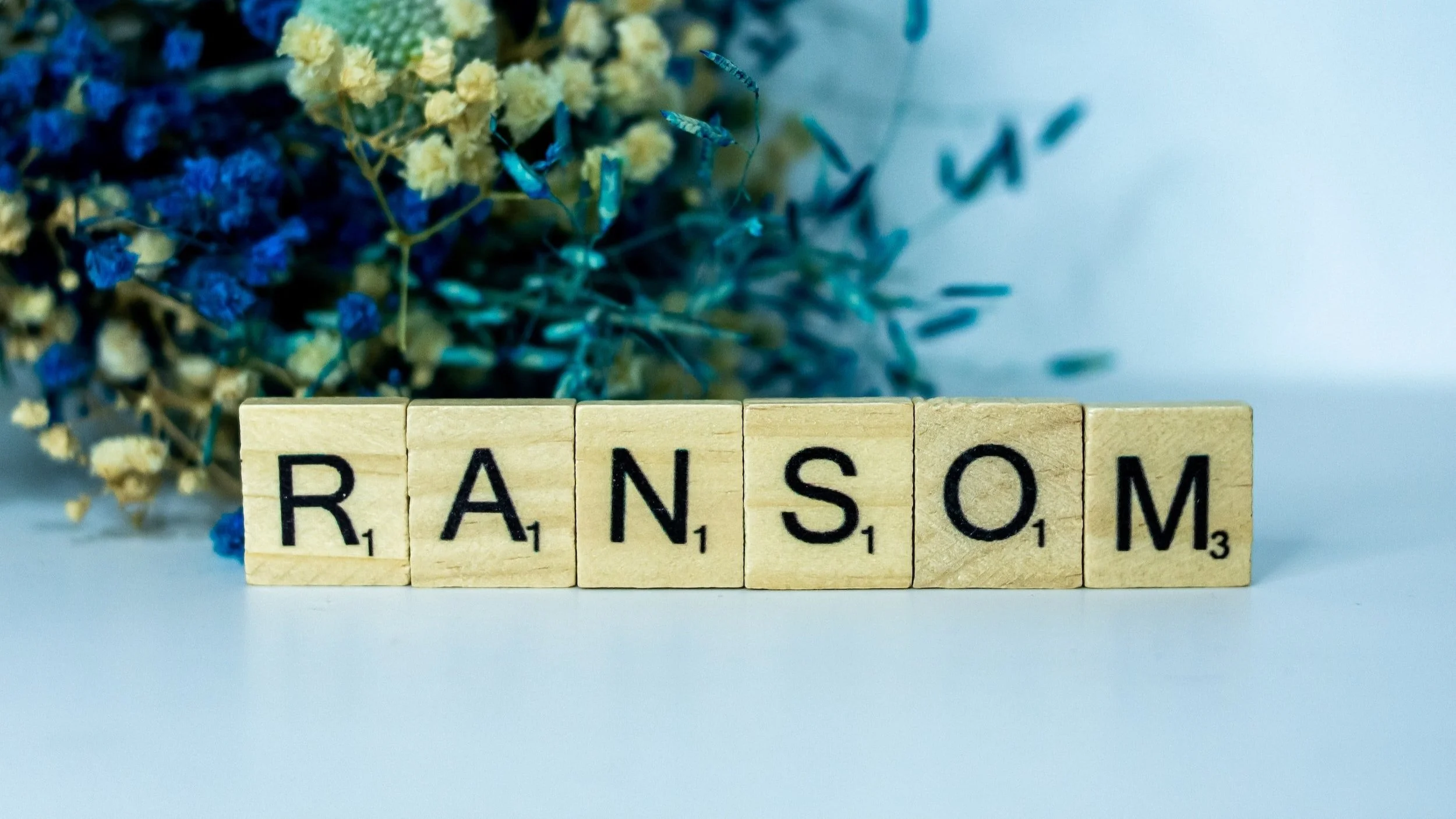 ANSSI : Panorama de la cybermenace 2022