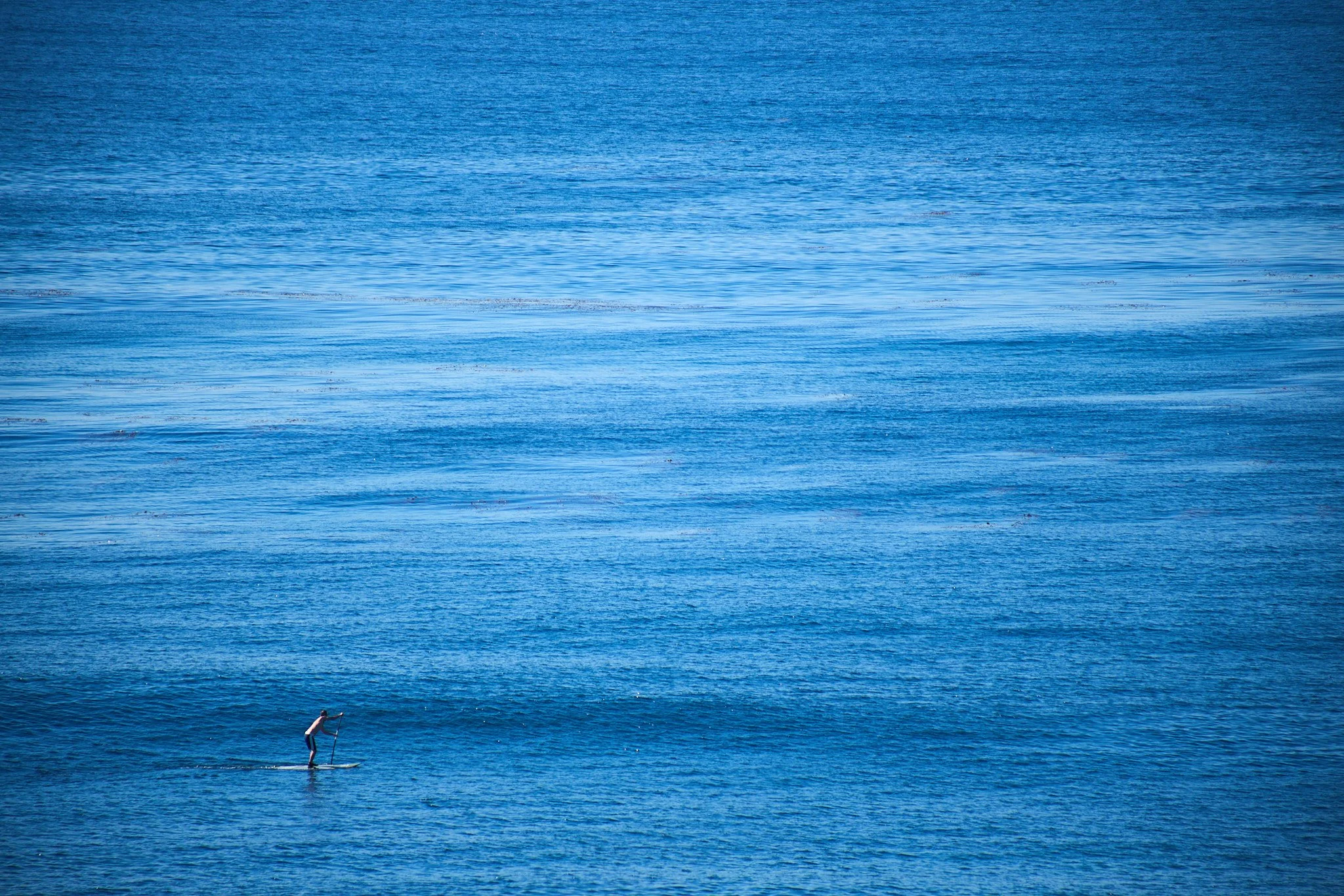 251208 San Diego & OB Christmas 231 .jpg