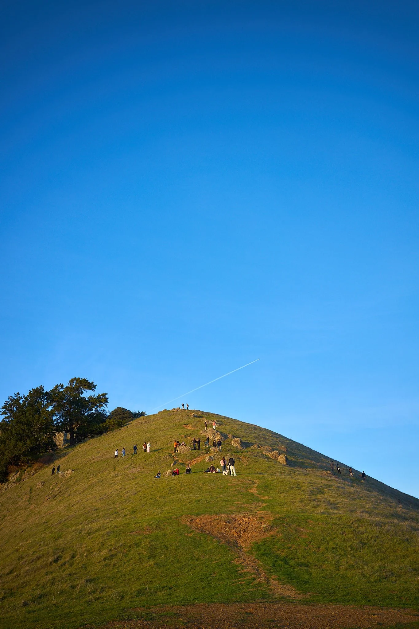 251130 Mill Valley Thanksgiving 388 .jpg