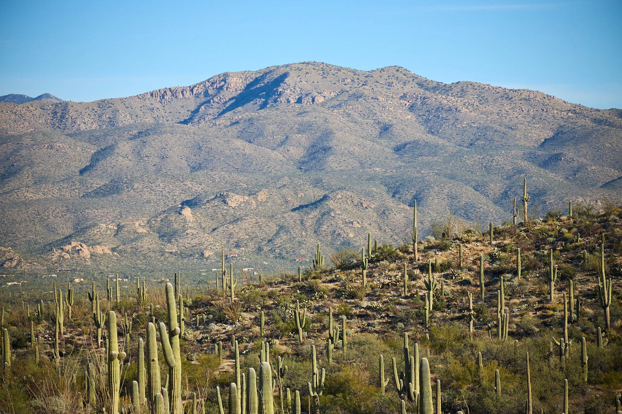 251224 America Road Trip  38 .jpg