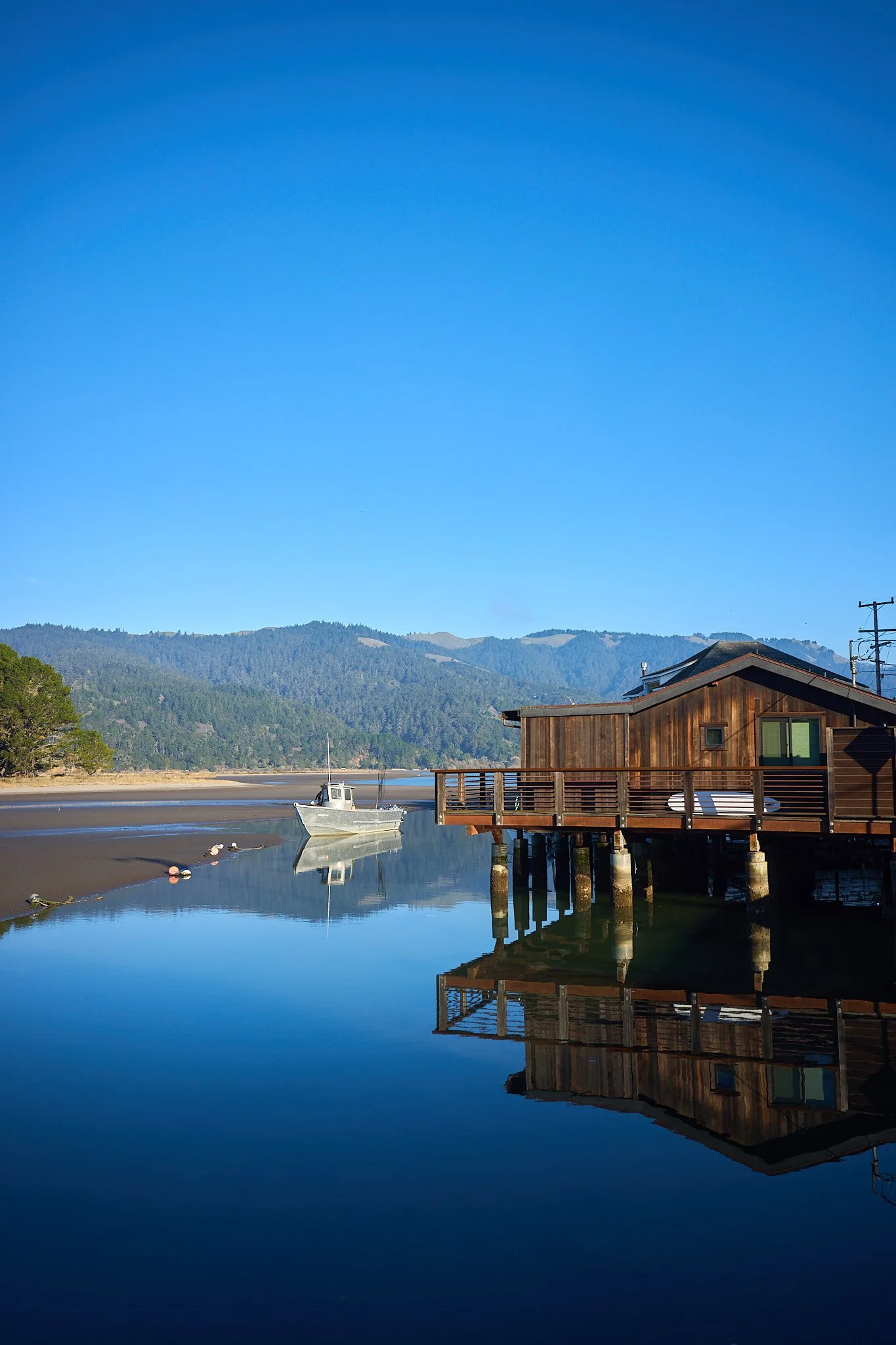 251130 Mill Valley Thanksgiving 499 .jpg