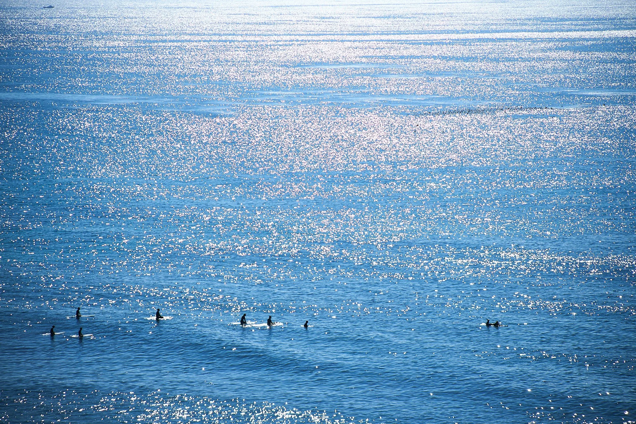 251208 San Diego & OB Christmas 235 .jpg