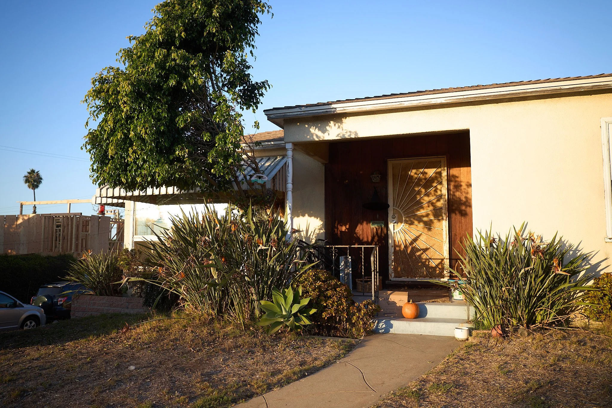 251107 San Diego 72 Website Selects.jpg