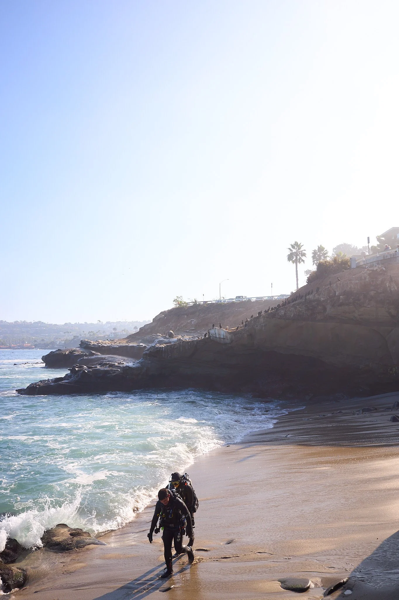 251107 San Diego 113 Website Selects.jpg