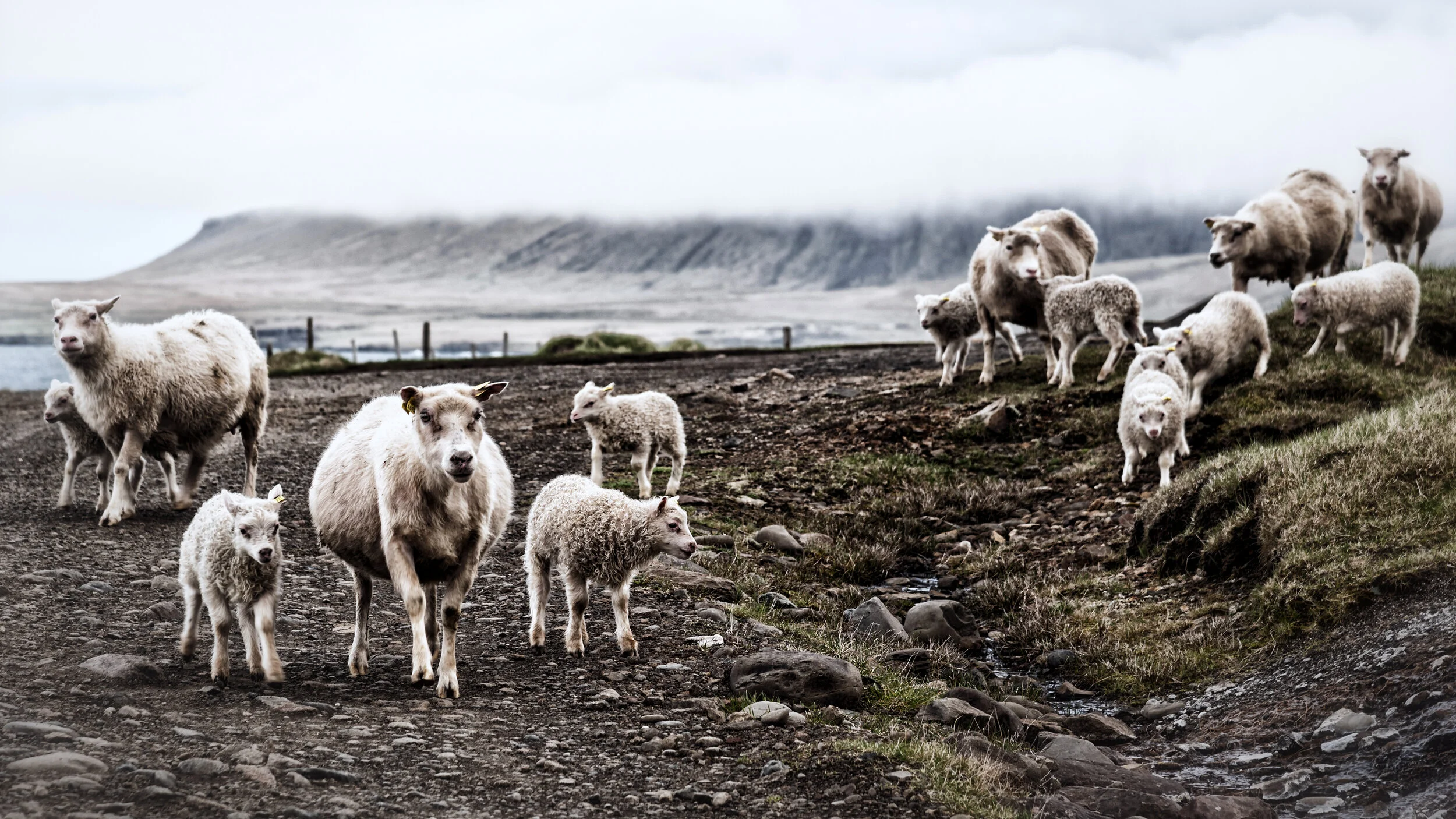 Beschafte Sackgasse, Island NW