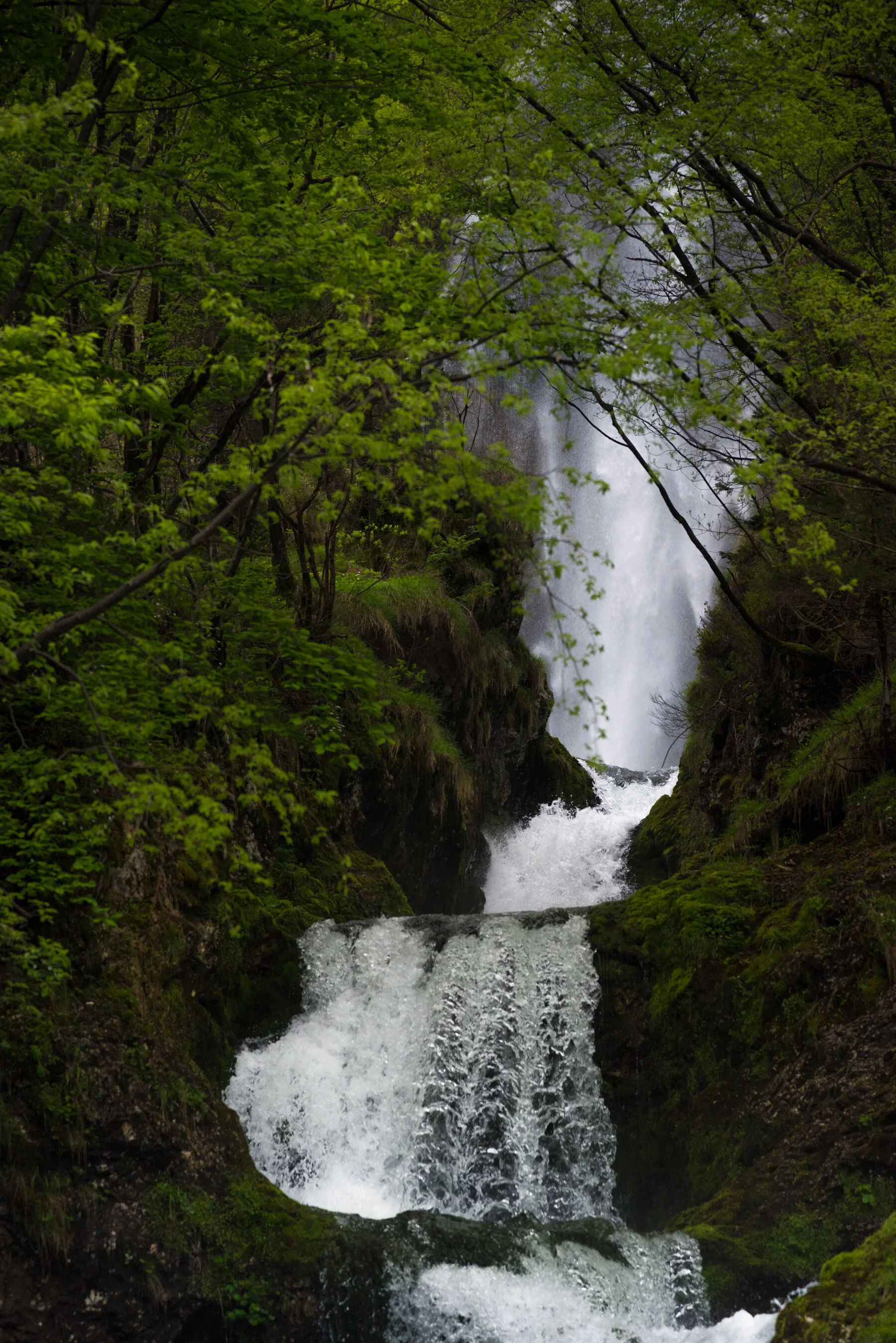 Rauschend - Raccolana, Fontanon di Goriuda, Italien