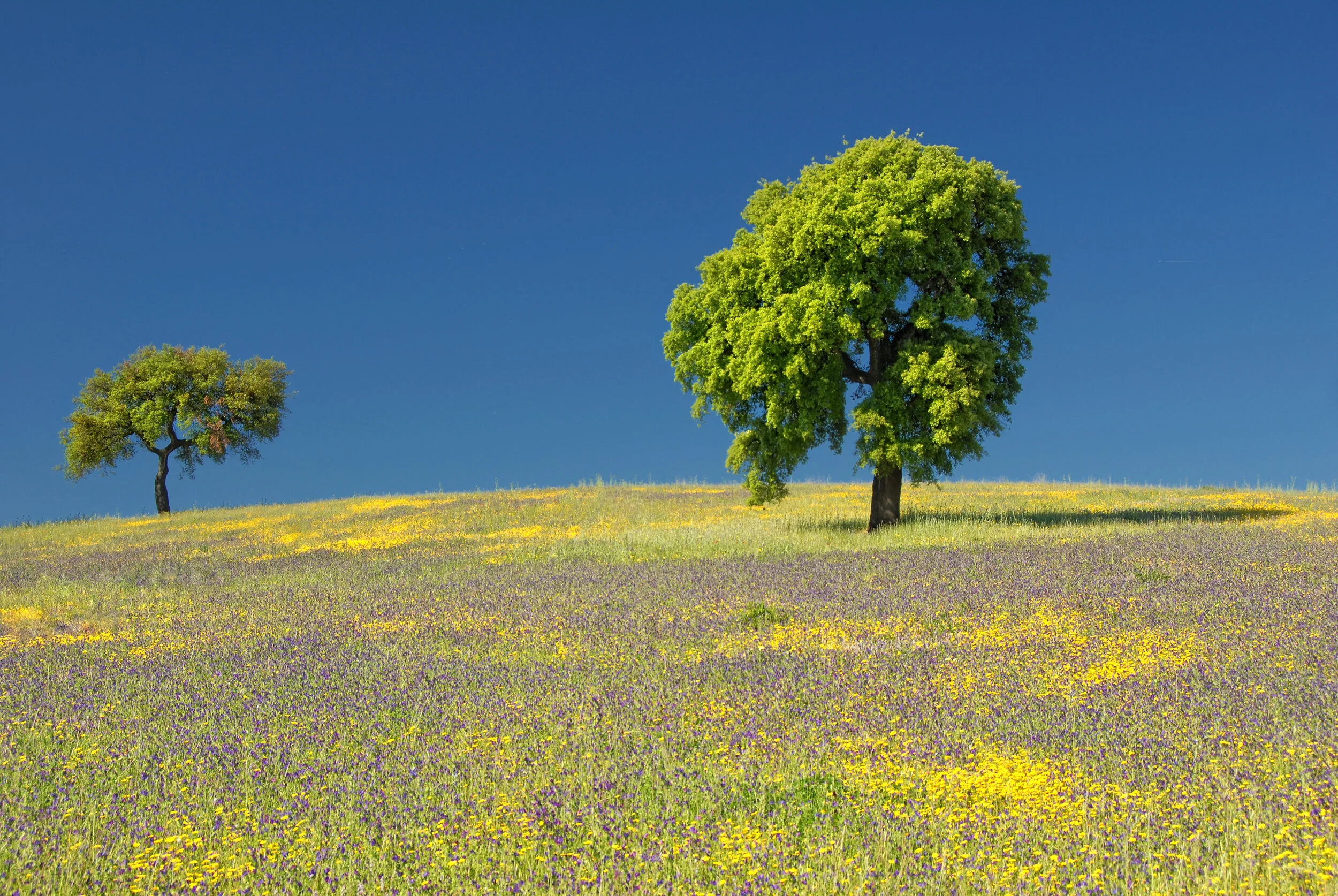 Vallemaggiore, Italien