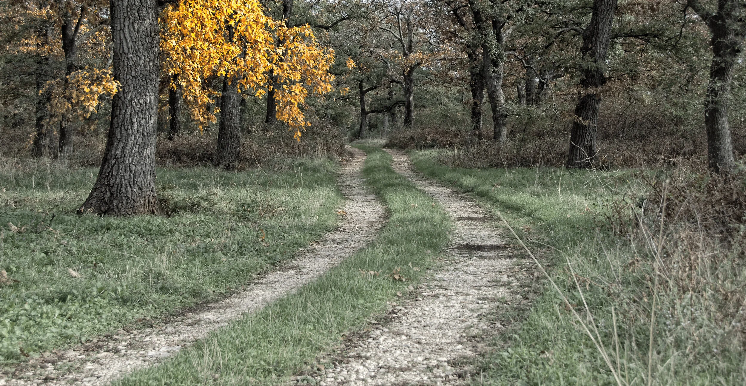 Eintauchen in die Stille