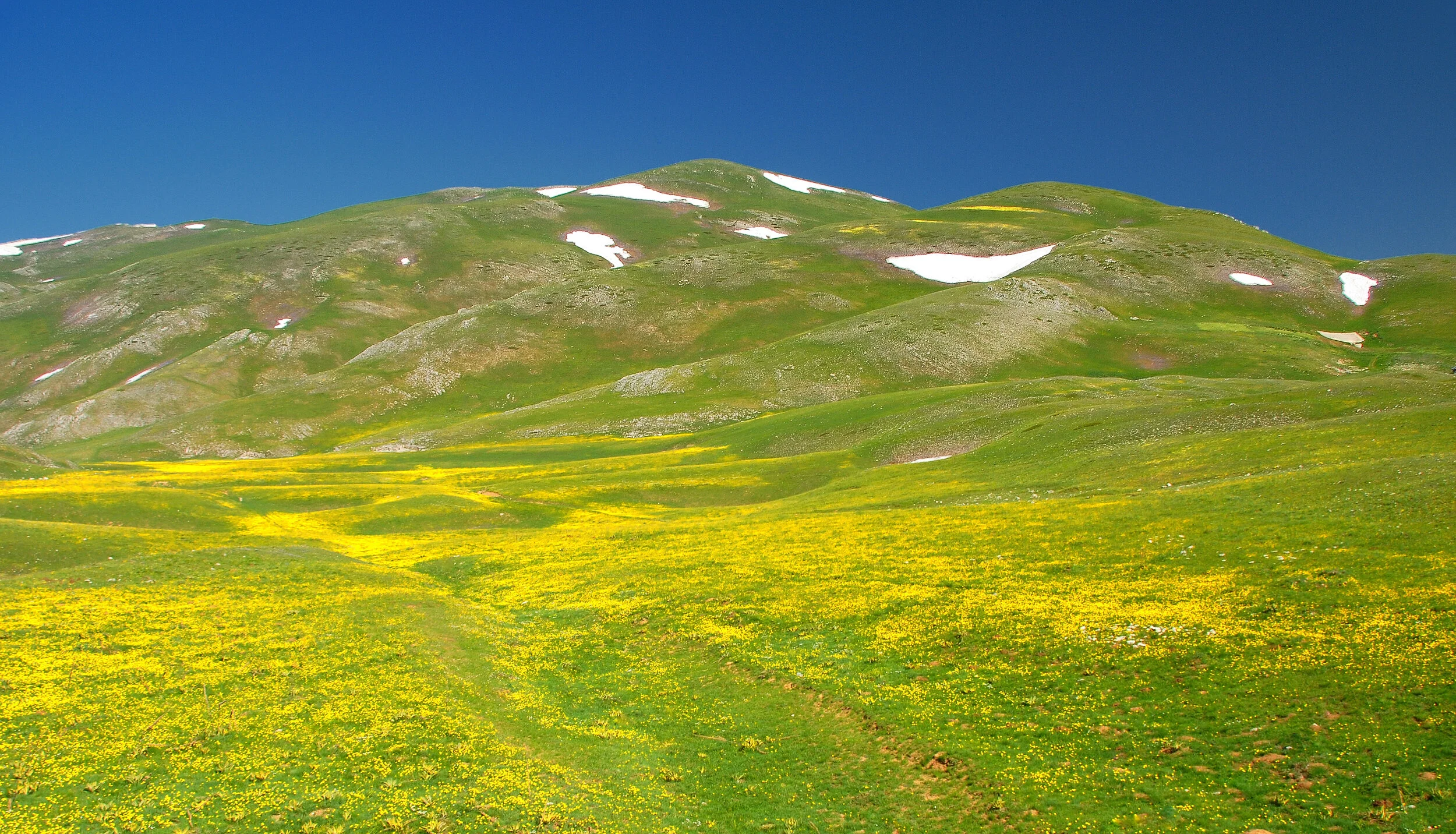 Bergfrühling - Campo Imperatore, Italien