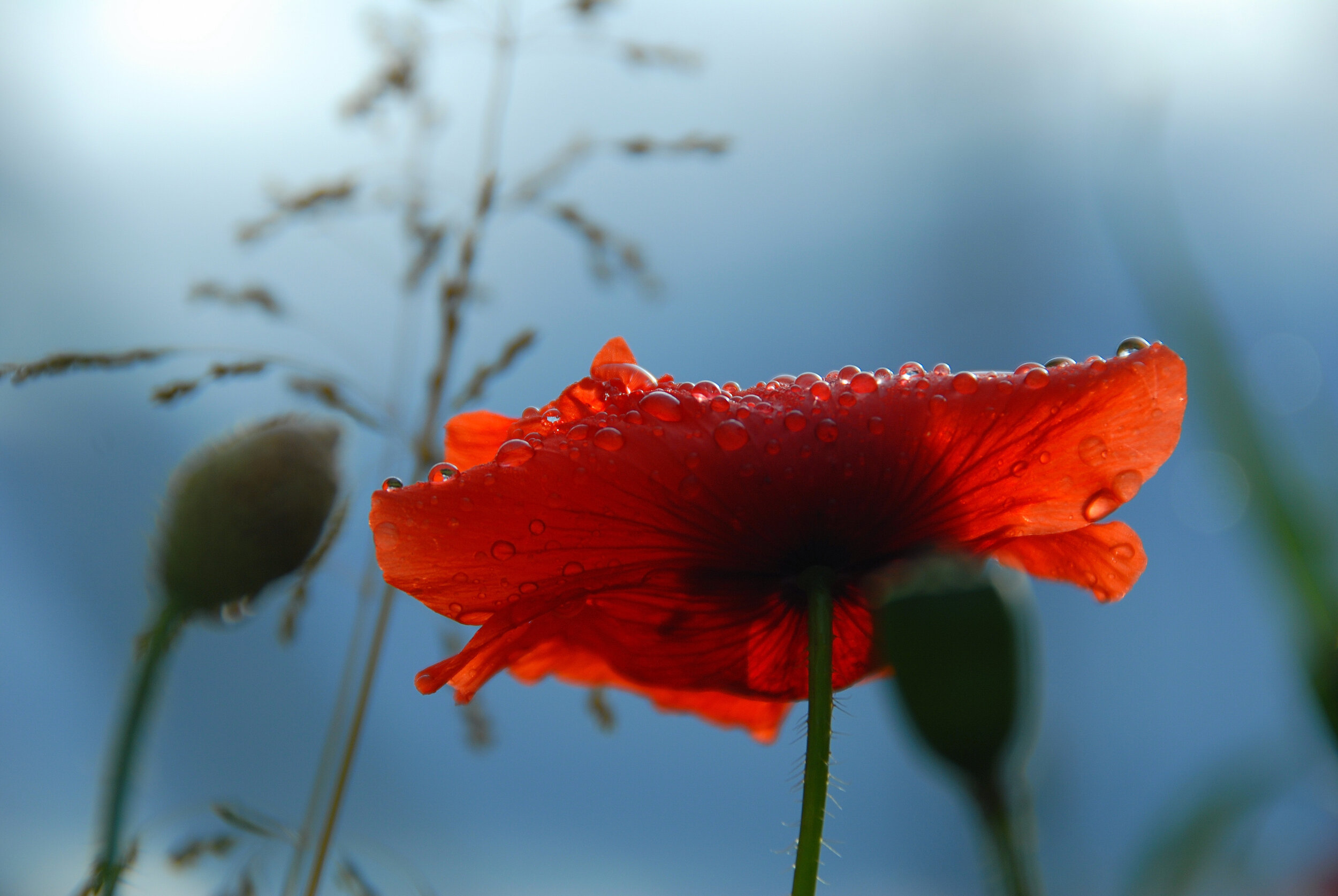 Nach der Gewitternacht