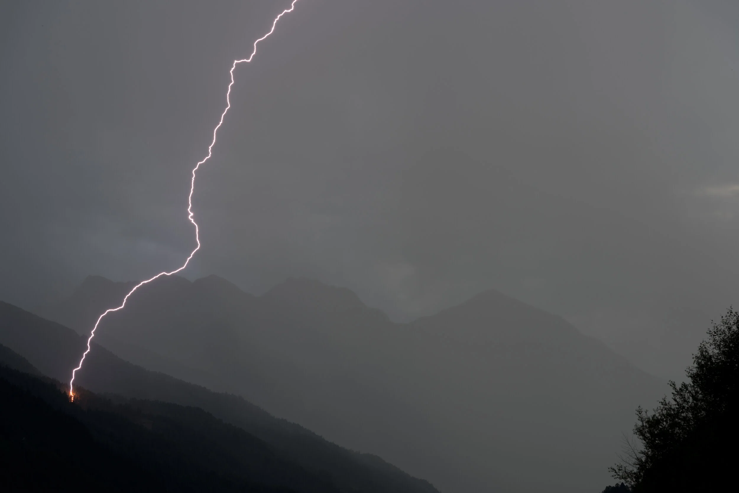 Pilze in Gefahr - Matrei, Osttirol