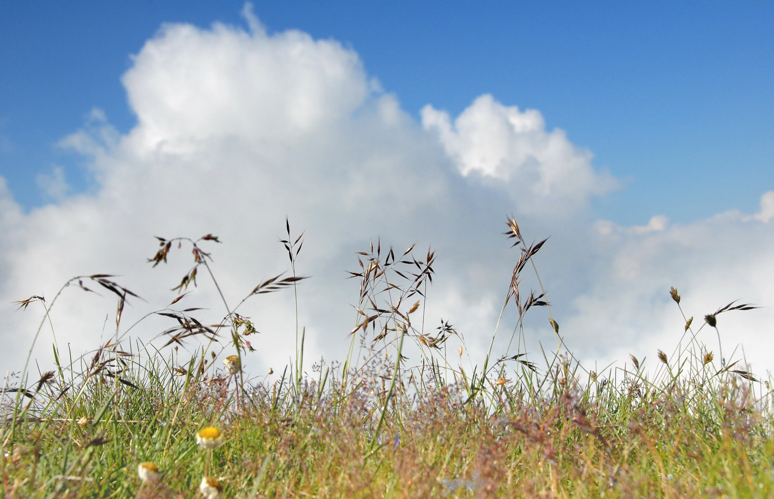 Bergeshöh' und Abstiegsfreud'