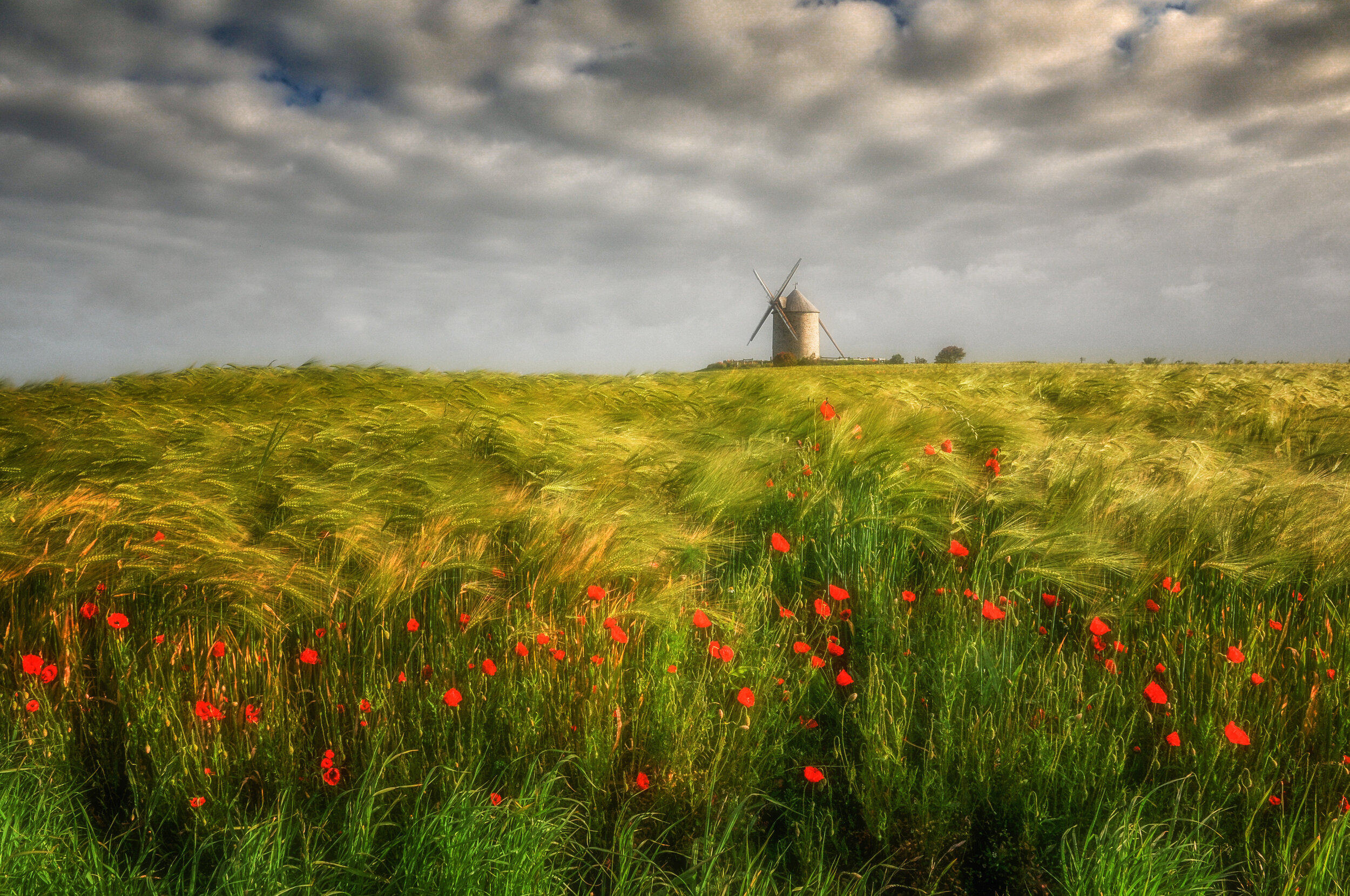 Lichtgemalt in der Normandie