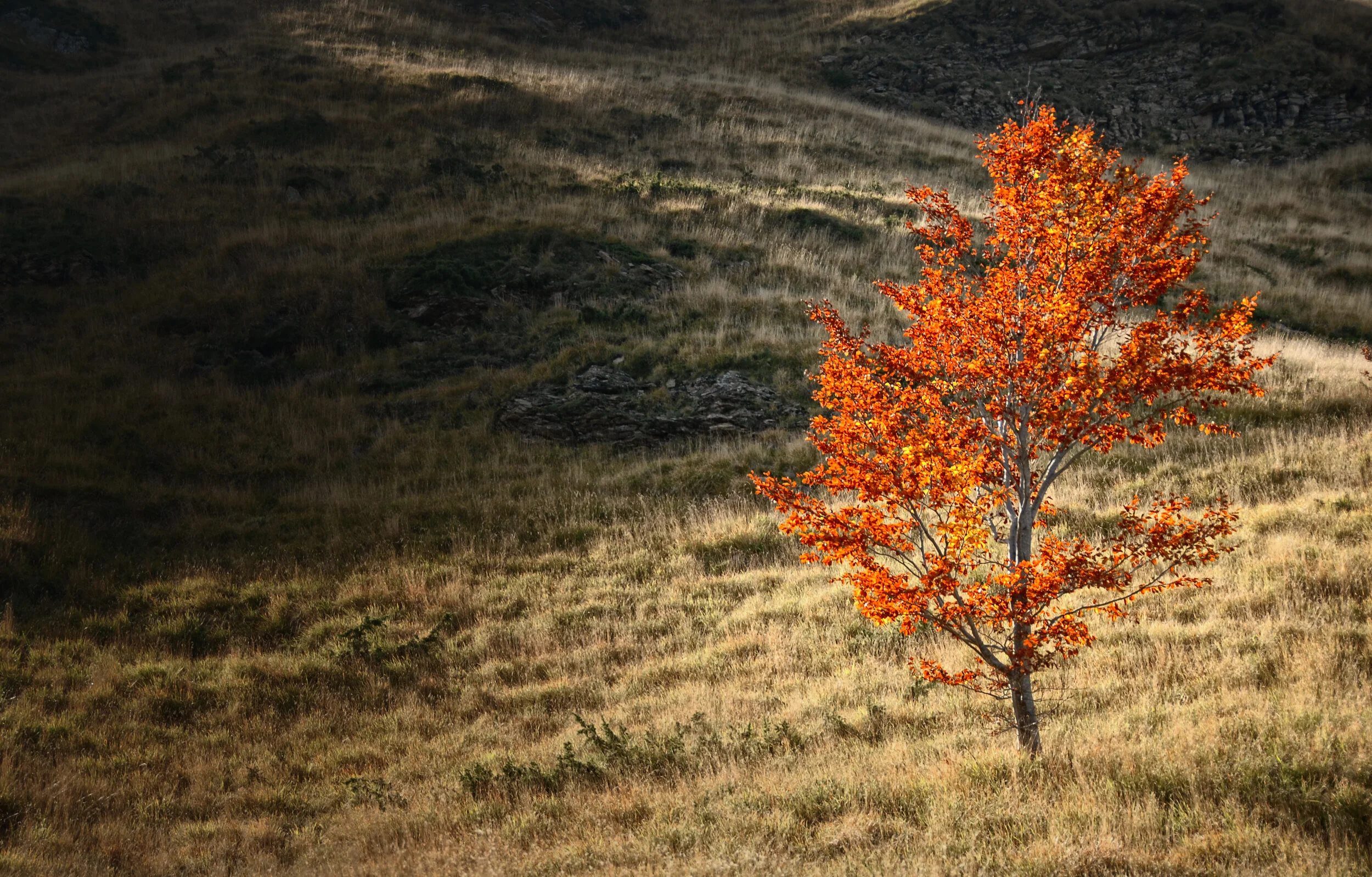 Im Herbstkleid - Alpi Apuane, Italien