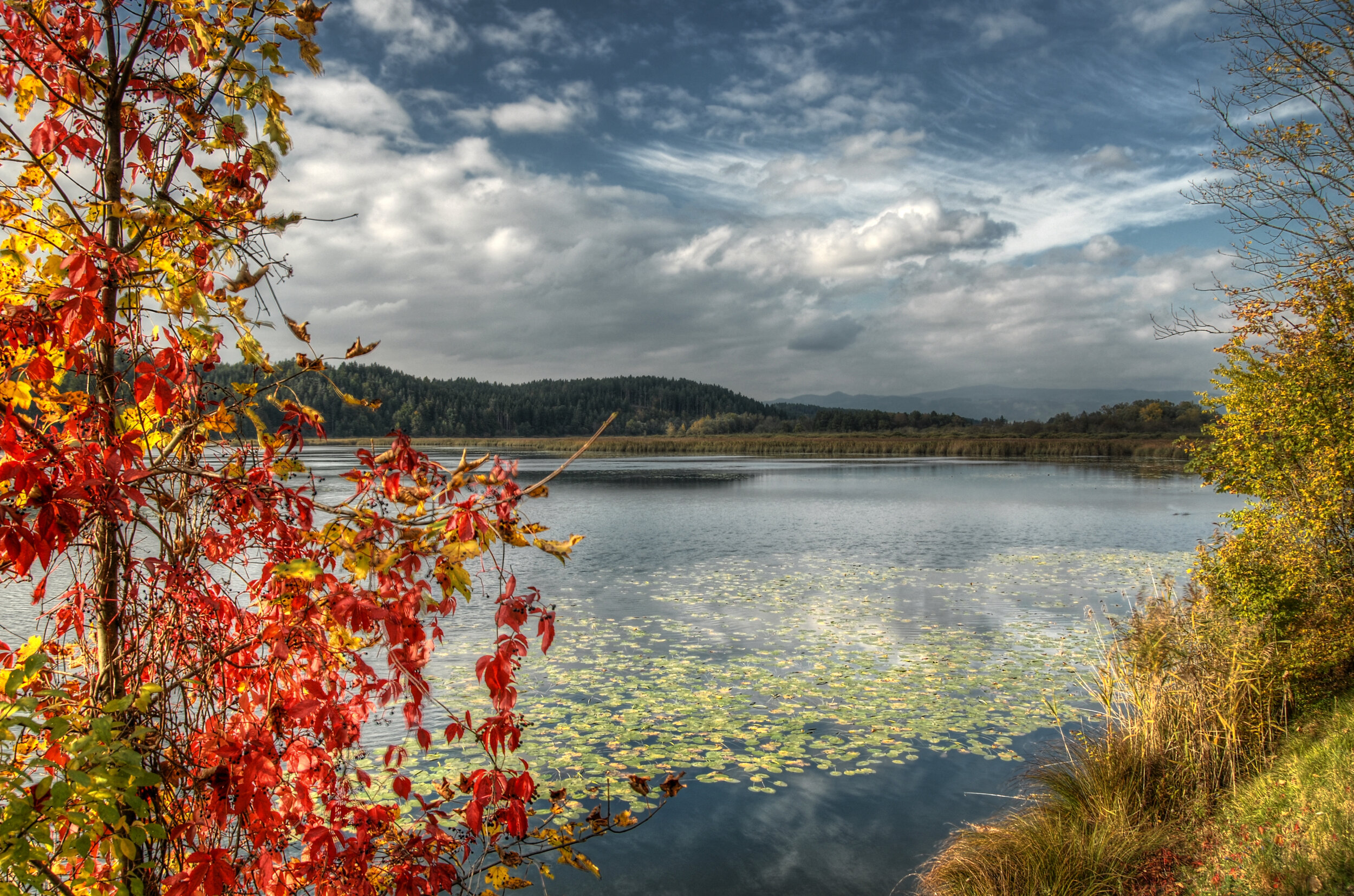 Am GösselsdorferSee, Kärnten