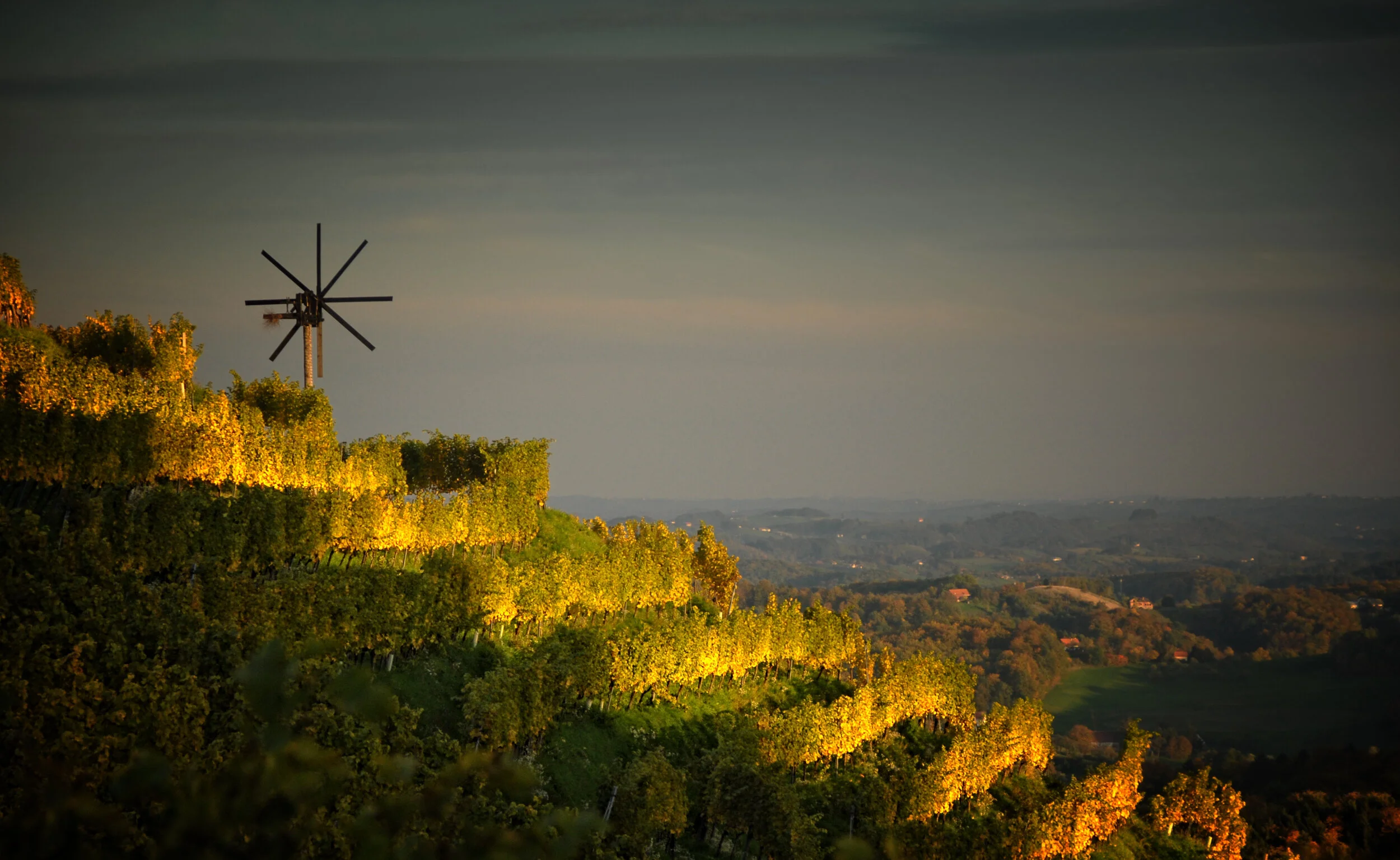 An der Grenze - Südsteiermark