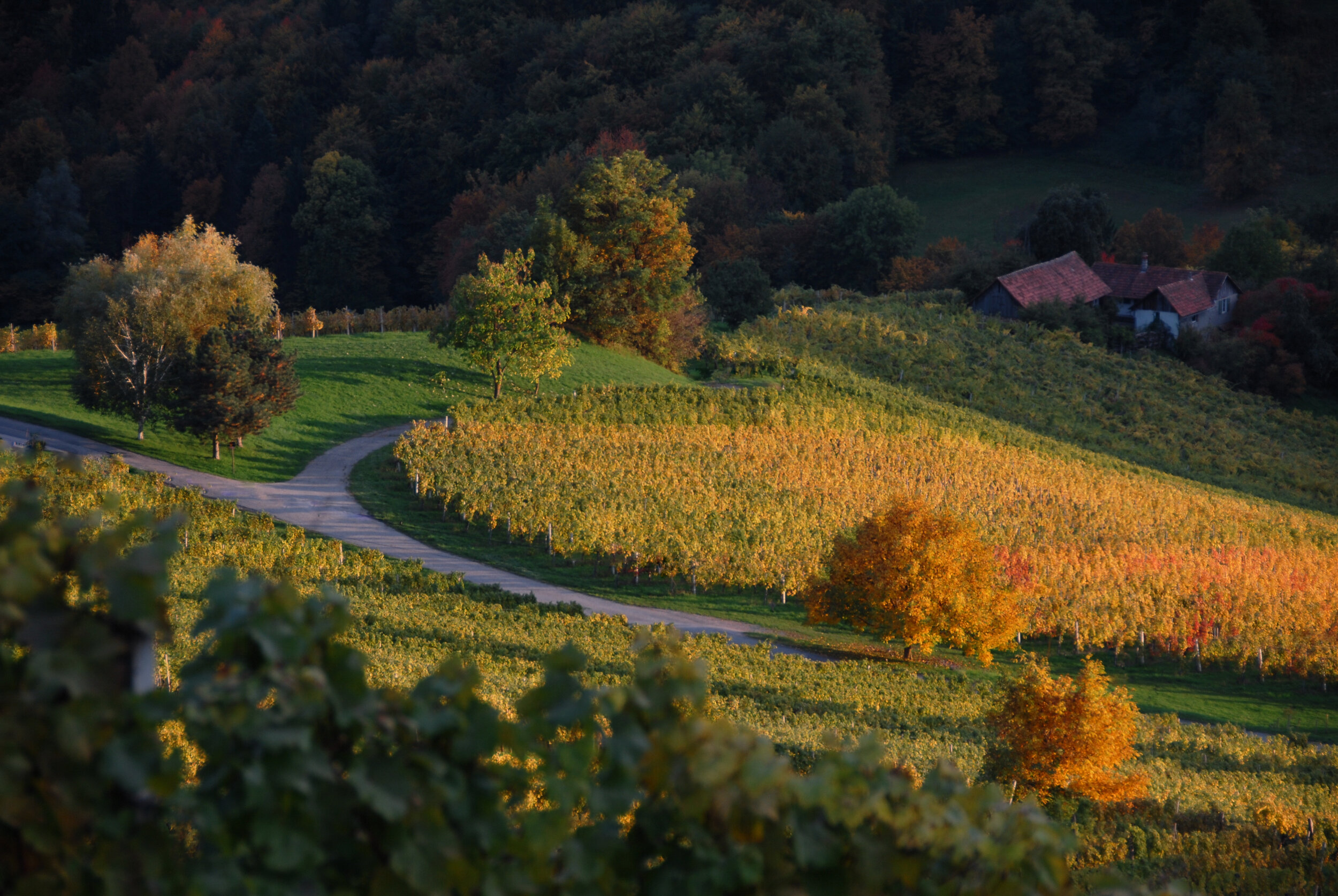 Auskehr - Südsteiermark/Slowenien