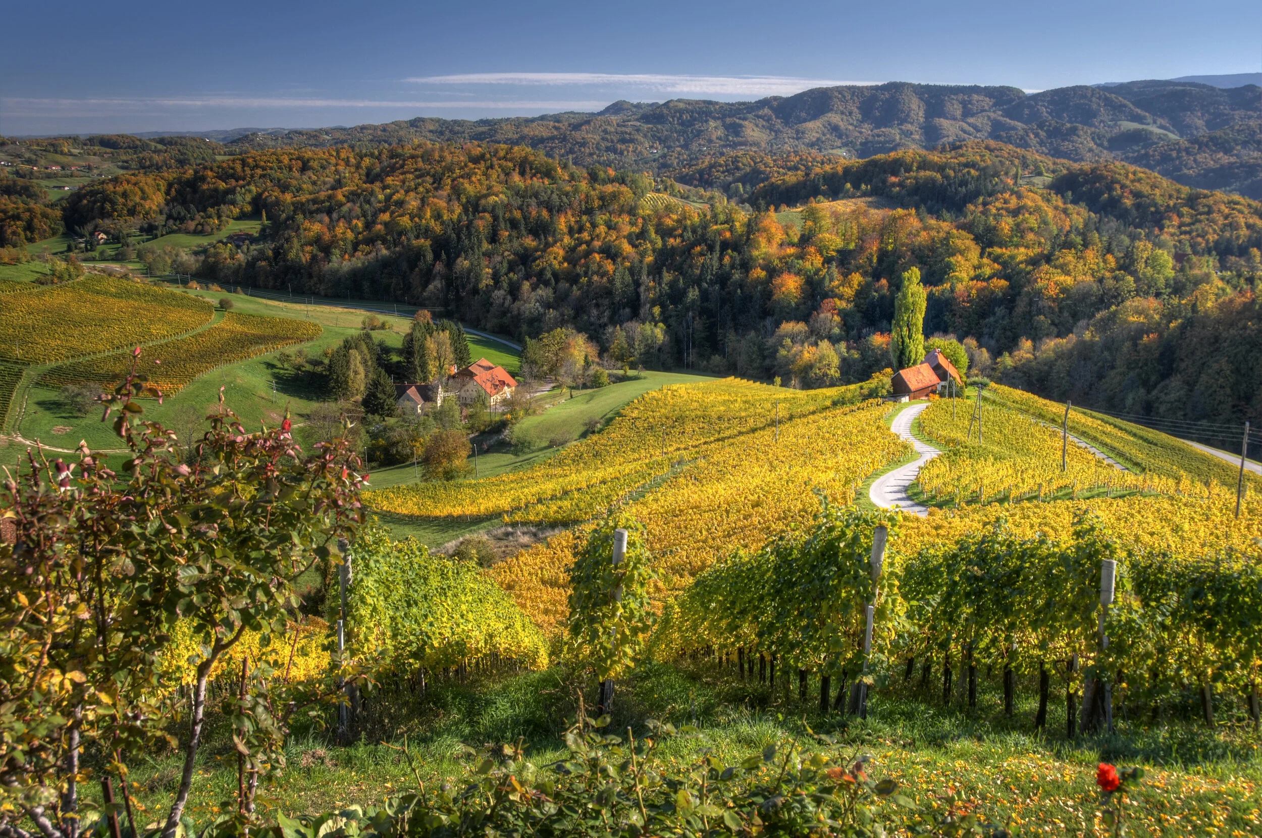 Herzerlherbst - Slowenien