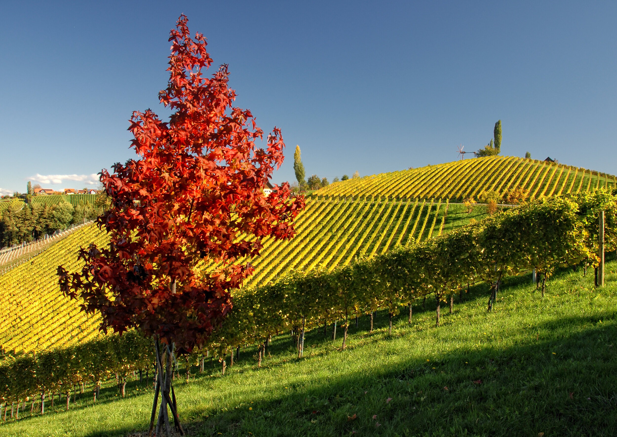 Farbtraum RGB - Südsteirische Weinstrasse