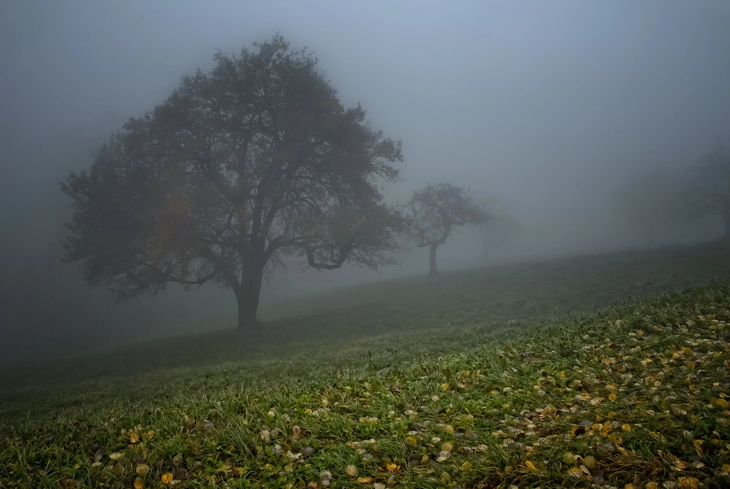 Komm, Nebel, küsse mich - Remschnigg STMK