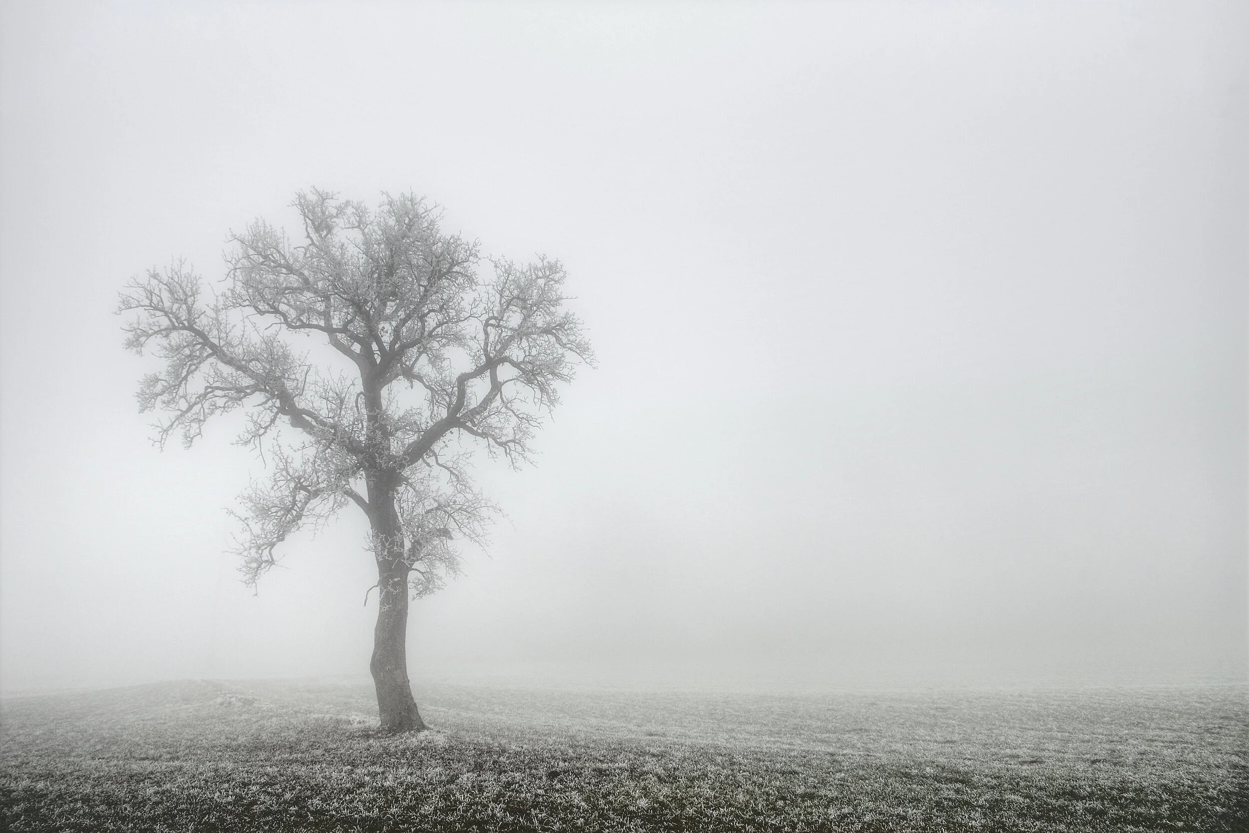 Schockgefrostet vielleicht