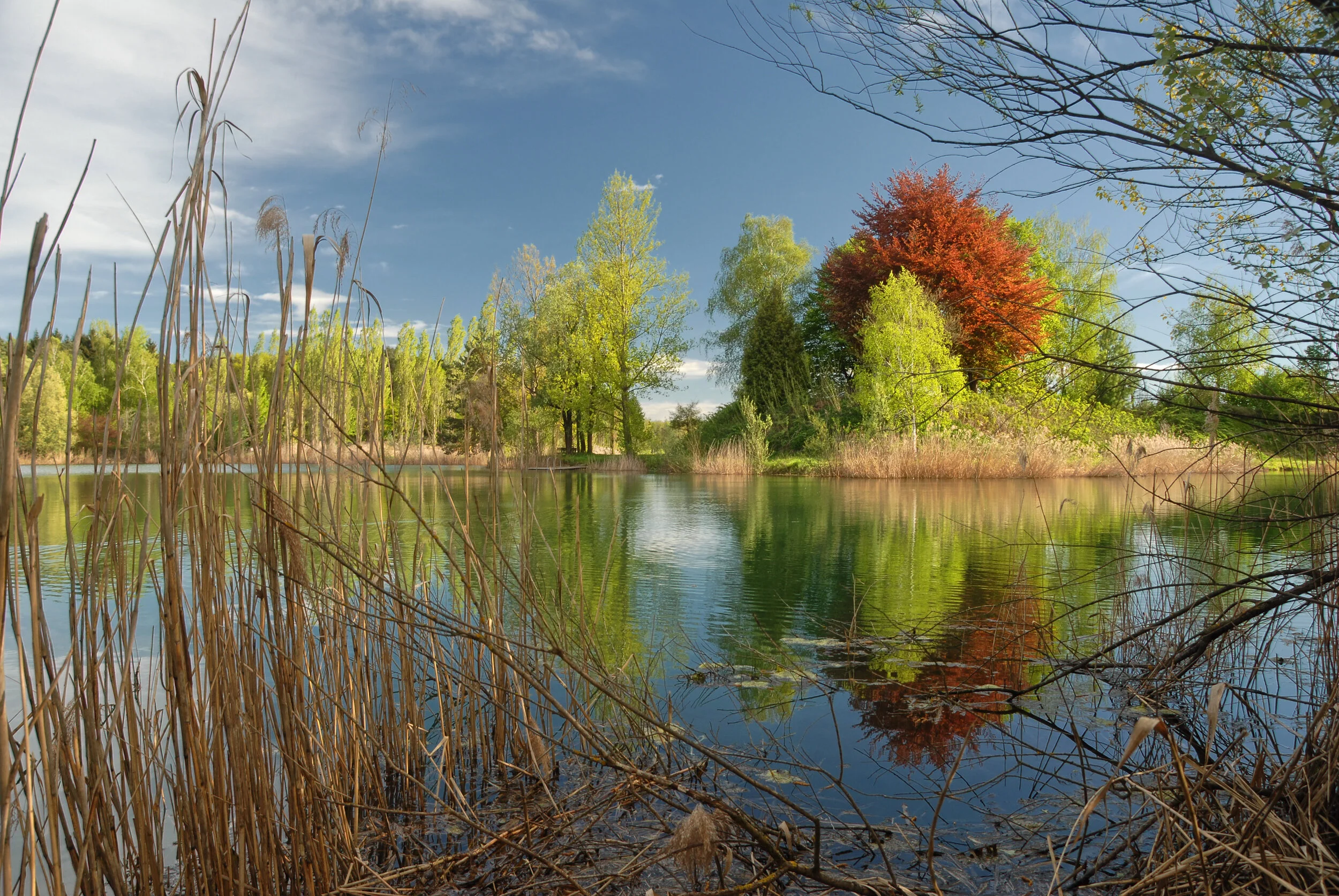 Herbstwasserfarben, Malen ohne Zahlen