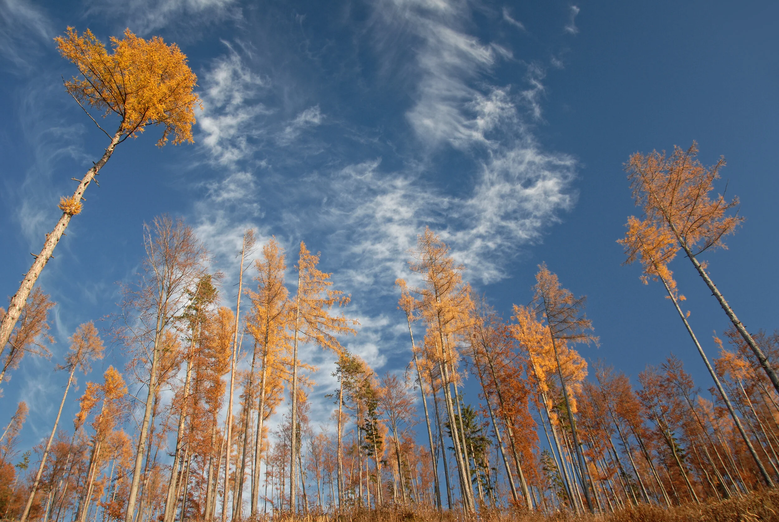 Mein Atelier irgendwie